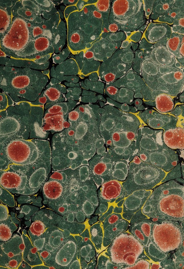 No text description is available for this image