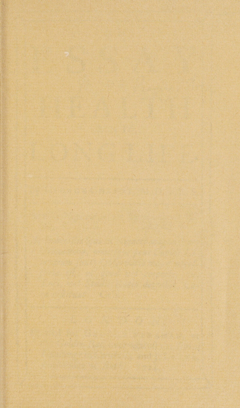 \ ■ • • '•.< ,, -y.i ■ :• / . ■? ' •' - - 1 v; -m ’ : ■ •V.l: