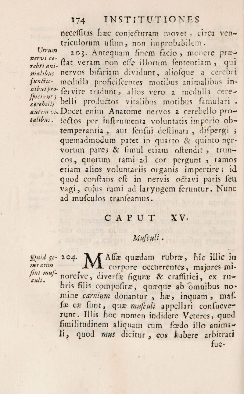 Utrum nervi ce¬ rebri ani¬ malibus functio¬ nibus pro- Jpicianf; cerebelli autem vi* talibus. 174 INSTITUTIONES necellltas hxc conjofhTram movet , circa ven¬ triculorum ufum, non improbabilem. 20$. Antequam finem facio > monere pro¬ flat veram non effe illorum fententiam , qui nervos bifariam dividunt, allofque a cerebri medulla proficifcenres motibus animalibus in- fer vi re tradunt? alios vero a medulla cere¬ belli productos vitalibus motibus famulari . Docet enim Anatonae nervos a cerebello pro— fedlos per inftrumenta voluntatis imperio ob¬ temperantia , aut fenfui defiinata , difpergi ; quemadmodum patet in quarto & quinto ner¬ vorum pare; & fimul etiam offendit , trun¬ cos, quorum rami ad cor pergunt , ramos etiam alios voluntariis organis impertire; id quod conflans eft in nervis octavi paris feu vagi, cuius rami ad laryngem feruntur. Nunc ad mufeuios tranfearnus. CAPUT XV. Mufculi. Quid ge- 204. \ 1 Affe quadam rubne, bic illic in r*eratim Iri corpore occurrentes, majores mi- culi”^* norefve j diverfe figura & crafiitiei, ex ru¬ bris filis compofit^e, qUvTque ab omnibus no* mine carnium donantur , hxy inquam? mafi. fae ex funt, quse mufculi appellari confueve- runt. Illis hoc nomen indidere Veteres, quod fimilitudinem aliquam cum foedo illo animae li? quod mus dicitur, eos habere arbitrati