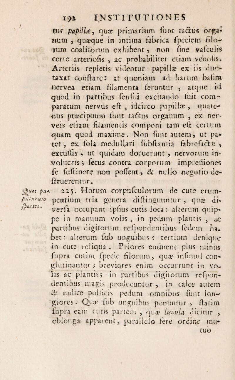 O}uot pa fularum ffecies. 191 INSTITUTIONES tue papilhe, qua? primarium funt ta6tus orga¬ num , quseque in intima fabrica fipedem filo¬ rum coalitorum exhibent, non fine vafculis certe arteriolis , ac probabiliter etiam vendis. Arteriis repletis videntur papillae ex iis dun- taxat conflarer at quoniam ad harum balim nervea etiam filamenta feruntur , atque id quod in partibus fenftii excitando fuit com¬ paratum nervus ell , idcirco pa ni 1 Ice , quate¬ nus praecipuum funt tadtus organum , ex ncr- veis etiam filamentis componi tam e(t certum quam quod maxime. Non funt autem, ut pa» tet, ex fola medullari fubEantia fabrefaebe , exculfis , ut quidam docuerunt , nervorum in¬ volucris j fecus contra corporum imprelfiones fe fuftinere non polfent, & nullo negotio de- Eruerentur. 225. Horum corpufculoTum de cute erum¬ pentium tria genera difiingutintur, quae di- verfa occupant ipfius cutis loca: alterum quip¬ pe in manuum volis , in pedum plantis , ac partibus digitorum refpondentibus fedem ha* bet: alterum fub unguibus i tertium denique in cute reliqua . Priores eminent plus minus fupra cutim fpecie filorum, qute infimul con¬ glutinantur ; breviores enim occurrunt in vo¬ lis ac plantis; in partibus digitorum refpon- dem-ibus magis producuntur , in calce autem & radice pollicis pedum omnibus funt lon~ glores* Qua? fub unguibus ponuntur , flarim fupra eam cutis partem , qua? lunula dicitur , oblonga* apparent, parallelo fere ordine mu¬ tuo