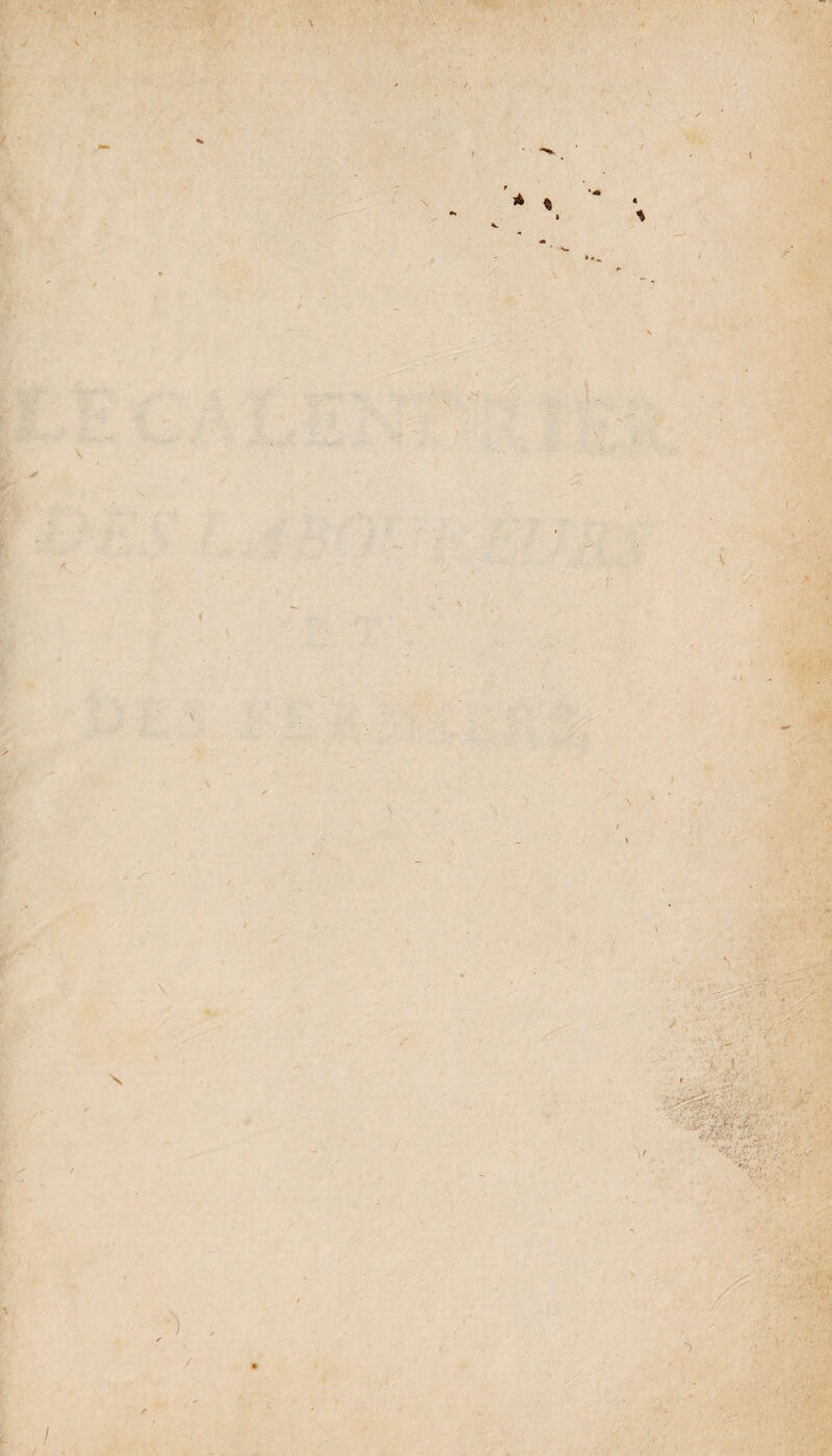 \ t ' \ < f ■ 'V' '