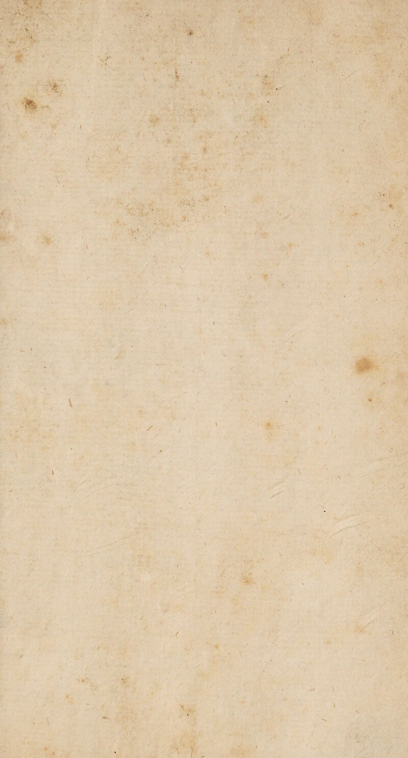 ■If ft. « A. ' ,ï. .V» ••■■■ * r. \ \ \ \ ! V r \ i