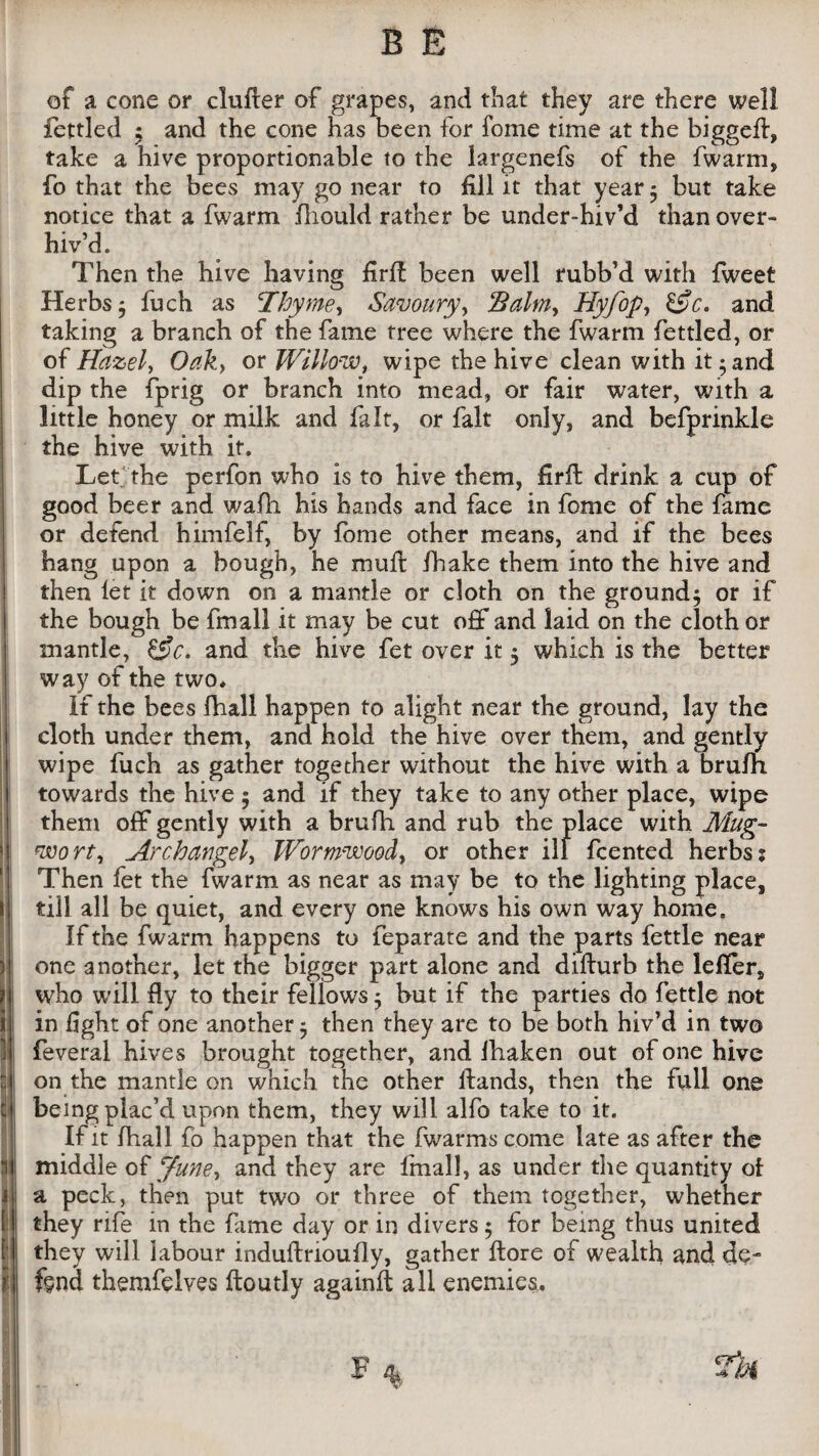 of a cone or clufler of grapes, and that they are there well fettled ; and the cone has been for fome time at the biggeH, take a hive proportionable to the largenefs of the fwarm, fo that the bees may go near to fill it that year ; but take notice that a fwarm iliould rather be under-hiv’d than over¬ hiv’d. Then the hive having firH been well rubb’d with fweet Herbs; fuch as Thyme, Savoury, ‘Balm, Hyfop, &c. and taking a branch of the fame tree where the fwarm fettled, or of Hazel, Oak, or Willow, wipe the hive clean with it; and dip the fprig or branch into mead, or fair water, with a little honey or milk and fait, or fait only, and befprinkle the hive with it. Let the perfon who is to hive them, firH drink a cup of good beer and wafh his hands and face in fome of the fame or defend himfelf, by fome other means, and if the bees hang upon a bough, he muH fhake them into the hive and then let it down on a mantle or cloth on the ground; or if the bough be fmall it may be cut off and laid on the cloth or mantle, &c. and the hive fet over it 5 which is the better way of the two* if the bees fhall happen to alight near the ground, lay the cloth under them, and hold the hive over them, and gently wipe fuch as gather together without the hive with a bruin towards the hive ; and if they take to any other place, wipe them off gently with a brufh and rub the place with Mug- wort, Archangel, Wormwood, or other ill fcented herbs; Then fet the fwarm as near as may be to the lighting place, till all be quiet, and every one knows his own way home. If the fwarm happens to feparate and the parts fettle near one another, let the bigger part alone and diflurb the lefier, who will fly to their fellows; hut if the parties do fettle not in fight of one another; then they are to be both hiv’d in two feveral hives brought together, and fhaken out of one hive on the mantle on which the other Hands, then the full one being plac’d upon them, they will alfo take to it. If it fhall fb happen that the fwarmscome late as after the middle of June, and they are fmall, as under the quantity ol a peck, then put two or three of them together, whether they rife in the fame day or in divers; for being thus united they will labour induftrioufly, gather flore of wealth and de¬ fend themfdves Hourly againH all enemies.