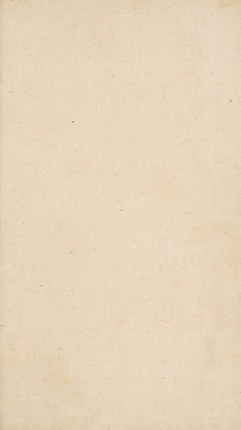 s \ /' f V ' . , • i / / y I I