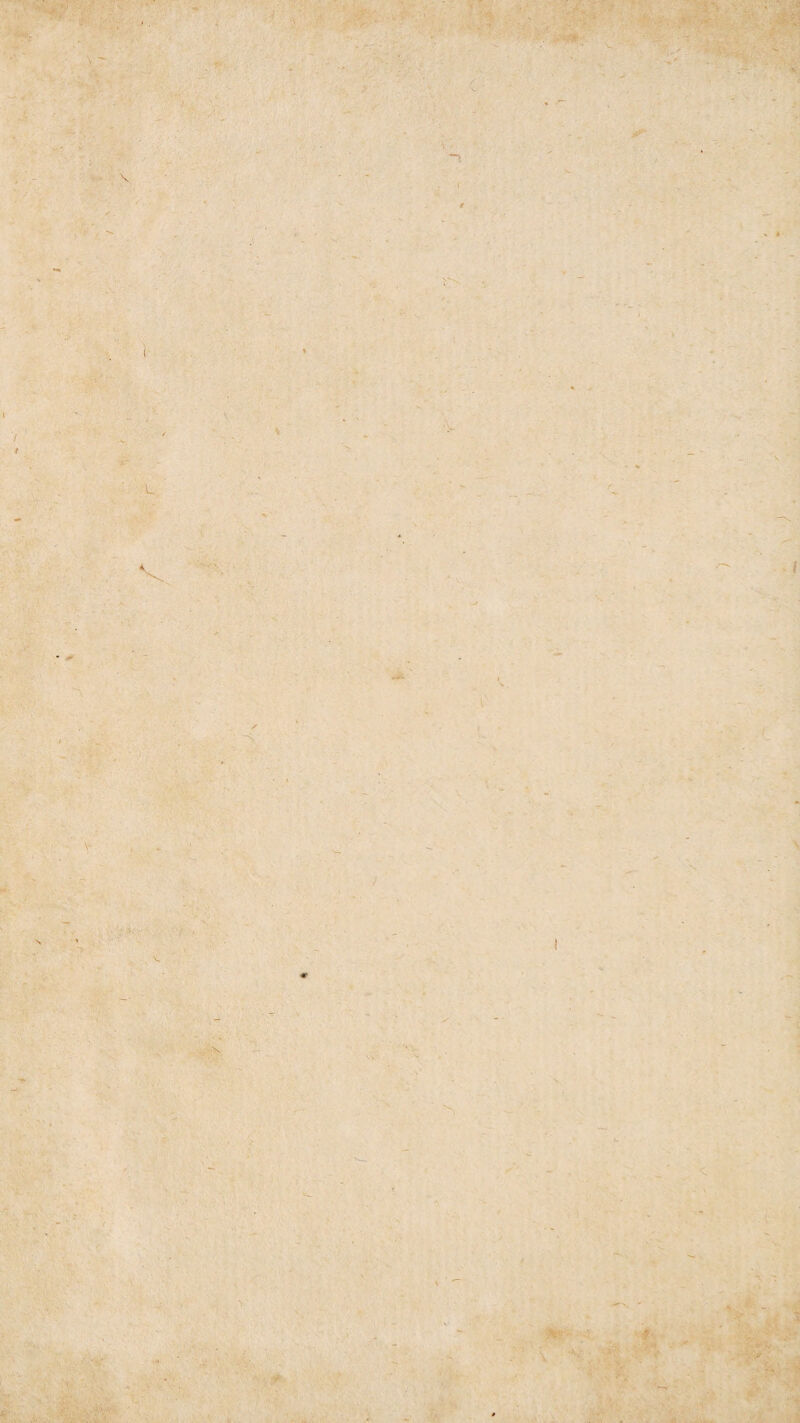 ■ / I 1 L I l V V m ' jfe i -