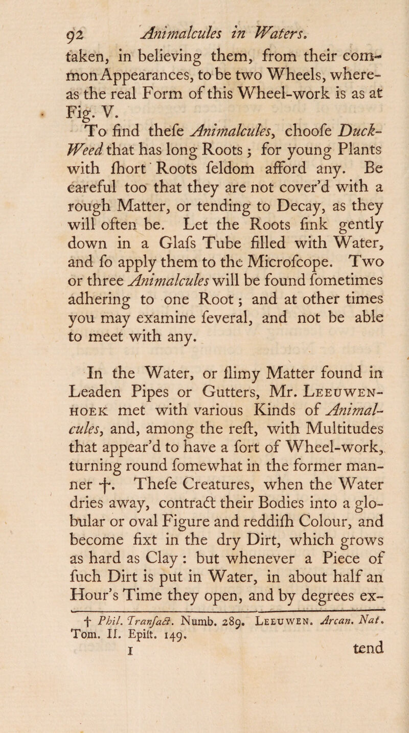 taken, In believing them, from their com¬ mon Appearances, to be two Wheels, where¬ as the real Form of this Wheel-work is as at Fig. V. ' To find thefe Animalcules^ choofe Duck- Weed that has long Roots 5 for young Plants with fhort' Roots feldom afford any. Be careful too that they are not cover’d with a rough Matter, or tending to Decay, as they will often be. Let the Roots fink gently down in a Glafs Tube filled with Water, and fo apply them to the Microfcope. Two or three Animalcules will be found fometimes adhering to one Root; and at other times you may examine feveral, and not be able to meet with any. In the Water, or llimy Matter found in Leaden Pipes or Gutters, Mr. Leeuwen¬ hoek met with various Kinds of Animal¬ cules^ and, among the reft, with Multitudes that appear’d to have a fort of Wheel-work, turning round fomewhat in the former man¬ ner -f*. Thefe Creatures, when the Water dries away, contraft their Bodies into a glo¬ bular or oval Figure and reddifh Colour, and become fixt in the dry Dirt, which grows as hard as Clay ; but whenever a Piece of fuch Dirt is put in Water, in about half an Hour’s Time they open, and by degrees ex- f Phil. Pranjad. Numb. 289. Leeuwen. Arcan, Nat. Tom. II. Epiit. 14Q. I tend