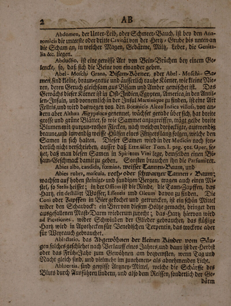 * Fe * el 6 \ K 15 d ** * „ * 1 2 * . 8 } 15 Er ai 2 u > x r 8 * an 3 7 528 Y _ ’ b N Abdomen, der Unter⸗Leib, oder Schmeer⸗Bauch, iſt bey den Ana- romicis die unterſte oder dritte Cavirät von der Hertz Grube bis unten an die Scham an, in welcher Magen, Gedaͤrme, Miltz, Leber, die Genita⸗ basic. legen. 0 8 Abductio, iſt eine gewiſſe Art von Bein⸗Bruͤchen bey einem Ge⸗ lencke, ſo, daß ſich die Beine von einander geben. Abel - Mofchi Grana, Biſam⸗Rörner, oder Abel - Mofchi- Sa⸗ men, find kleine, braun⸗graue und aͤuſſerlich rauhe Körner, wie kleine Nies ren, deren Geruch gleichſam aus Biſam und Amber gemiſchet iſt. Das Gewaͤchs dieſer Körner iſt in Oſt⸗Indien, Egypten, America in den Antil⸗ len⸗Inſuln, und vornemlich in der Inſul Martinique zu finden, iſt eine Art Fellris, und wird deswegen von den Botanicis Alcea Indica villoſa, von ans dern aber Althæa Sayptiaca genennet, waͤchſet gerade über ſich hat breite groſſe und grüne Blätter, fo wie Sammet anzugreiffen, trägt gelbe breite Blumen mit purpur⸗rothen Flecken, nach welchen dreyeckigte, auswendig braune, und inwendig weiſſe Huͤlſen eines Fingers lang folgen, welche den Samen in ſich halten. Dieſer Samen wird in der Medicin noch ſon⸗ derlich nicht verſchrieben, auſſer daß Etta üller Tom. I. pag. 501. Oper, ſe⸗ ‚Bet, daß man dieſen Samen in Spirieum Vini lege, demſelben einen Bi⸗ ſam⸗Geſchmack damit zu geben. Sonſten brauchen ihn die Parfumirer. Abies alba, candida, fœmina, weiſſer Tannen⸗Baum, und Abies rubra, maſeula, roth⸗oder ſchwartzer Tannen + Baum; wachſen auf hohen fteinigt- und ſandigen Bergen, tragen auch einen Mi⸗ ſtel, fo Stelis heiſſet; in der Officın iſt die Rinde, die Tann⸗Zapffen, das Hartz, ein deſtilirt Waſſer, Eſſentia und Oleum davon zu finden. Die Coni oder Japffen in Bier gekochet und getruncken, iſt ein ſchoͤn Mittel wider den Scharbock: ein Bret von dieſem Holtze gemacht, bringet den ausgefallenen Maſt⸗Darm wiederum zurecht; das Hartz hiervon wird ad Picstiones, wider Schwinden der Glieder gebrauchet, das flüßige Hartz wird in Apotheckenfuͤr Venediſchen Terpentin, das trockene aber fuͤr Weyrauch gebrauchet. , ee 7 Ablactatio, das Abgewöhnen der kleinen Rinder vom Saͤu⸗ gen ſolches geſchiehet na ch Verlauff eines Jahres, und dann iſt der Herbſt oder das Fruͤh⸗Jahr zum Gewoͤhnen am beqvemſten, wenn Tag und Nacht gleich find, und vielmehr im zunehmen⸗ als abnehmenden Licht. „ Abluentia, ſind gewiſſe Artzney⸗Mittel, welche die Schaͤrffe des Bluts durch Ausführen lindern, und alſo dem Reiſſen, ſonderlich der Ge⸗ 5 ee daͤrm —