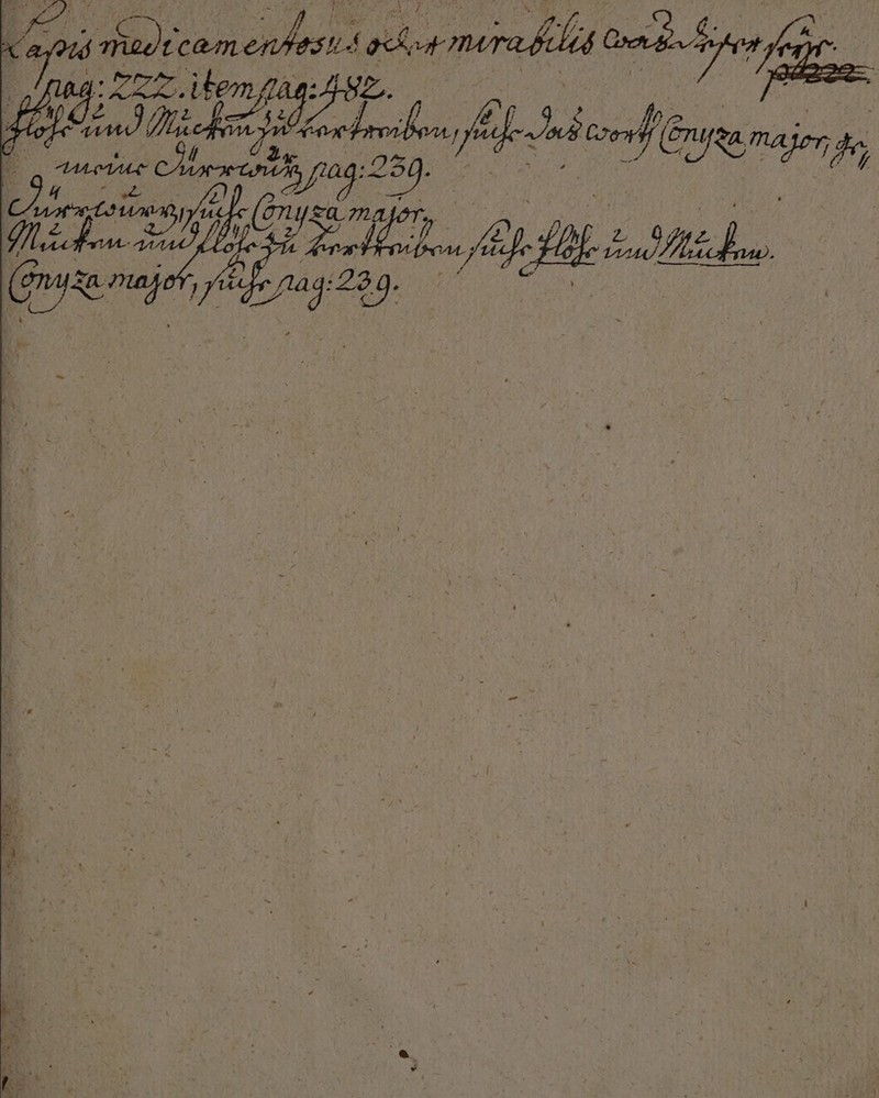 Kap ee By ocrmrasihi ng. Z. item i 25 e de el ee eber, En Sr e 7 f e NEE Nele bd, , f e 239. Ik