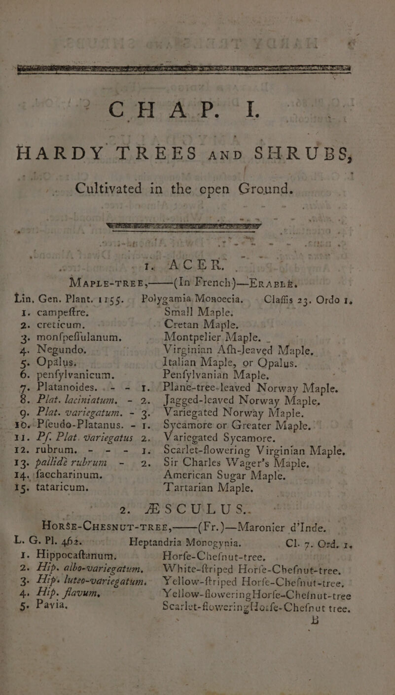(In French)—Erapné. Lin, Gen. Plant. 1755. Polygamia, Monoccia, Claffis 23. Ordo 1, I. campeftre. Small Maple: 2. creticum, - Cretan Maple. 3. monfpefiulanum. Montpelier Maple. 4. Negundo. if Virginian Afh-Jeaved Maple, 5. Opalus: Italian Maple, or Opalus. 6. penfylvanicum. Penfylvanian Maple. 7. Platanoides..- - 1. Plane-tree-leaved Norway Maple. g Plat. laciniatum, - 2. Jagged-leaved Norway Maple, 9g. Plat. variegatum. - 3. Variegated Norway Maple. ¥0.-Pfeudo-Platanus. - 1. Sycamore or Greater Maple. ai. Pf. Plat. variegatus 2. Variegated Sycamore. 12. rubrum. - - - 4. Scarlet-flowering Virginian Maple. 13. pallidé rubrum - 2. Sir Charles Wager’s Maple. 14. faccharinum. American Sugar Maple. 15. tataricum. ‘Tartarian Maple, : 2 Pale « Orpre ye am Ss COMM BER som | Horse-CHESNUT-TREE, (Fr.)—Maronier d’Inde. L. G. Pl. 4626 Heptandria Monogynia. Cl. 7. Ord. 3. 1. Hippocaftanum, Horfe-Chefnut-tree. ft 2. Lip. albo-variegatum, White-ftriped Horfe-Chefnut-tree, 3. Lips luteo-variegatum. Y¥ ellow-ftriped Horfe-Chefnut-tree. 4. Eip. flavum, © Yellow- flowering Horfe-Chefnut-tree 5- Pavia, Scarlet-floweringHo:fe-Chefnut tree. : : m b