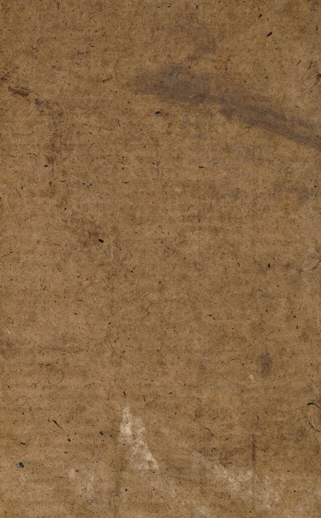 digitised image 2