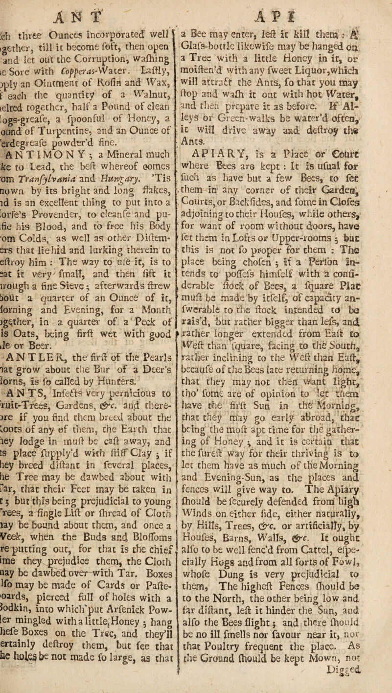 :eb three Ounces incorporated well ,gether, till it become foft, then open and let out the Corruption, walking ie Sore with Copperas-Water. Laftly, )ply an Ointment of Rofin and Wax, f each the quantity of a Walnut, telted together, half a Pound of clean ^ogs-greafe, a fpoonful of Honey, a ound of Turpentine, and an Ounce of ’erdegreafe powder'd fine. ANTIMONY; a Mineral much ke to Lead, the beft whereof comes om Tranfylvania and Hungary. ’Tis nown by its bright and long flakes, id is an excellent thing to put into a lOrfe’s Provender, to cleanfe and pu¬ ke his Blood, and to free his Body •om Colds, as well as other Didem- ers that lie hid and lurking therein to eftroy him : The way to ufe if, is to sat it very final!, and then lift it trough a fine Sieve; afterwards drew bout a quarter of an Ounce of it, lorning and Evening, for a Month jgether, in a quarter of a Peck of is Oats, being fird wet with good de or Beer. ANTLER, the' fird of the Pearls lat grow about the Bur of a Deer’s iorns, is To called by Hunters. ANTS, Infeffs very pernicious to -ruit-Trees, Gardens, <&c. and there- are if you find them breed about the Loots of any of them, the Earth that bey lodge in mud be cad away, and ts place fupply’d wkh ftiff Clay -y if hey breed didant in feveral places, he Tree may be dawbed about with far, that their Feet may be taken in C; but this being prejudicial to young Tees, a fingle Lid or fhread of Cloth lay be bound about them, and once a Veek, when the Buds and Blofloms re putting out, for that is the chief ime they prejudice them, the Cloth nay be dawbedover with Tar, Boxes lfo may be made of Cards or Pade* 'oards, pierced full of holes with a Jodkin, into whichput Arfeniek Pow- ler mingled with a little; Honey ; hang hefe Boxes on the Tree, and they’ll ertainly dedroy them, but fee that be holes be not made fo large, as that a Bee may enter, led it kill them : H, Glafs-botrle likewife may be hanged 013. : a Tree with a little Honey in it, or moiften’d with any fweet Liquor,which will attract the Ants, fo that you may dop and wadi it out with hot Water, and then prepare it as before. If Al¬ leys of Green-walks be water’d often, ' it will drive away and dedroy the Ants. APIARY, is a Place ©t Court where Bees are kept *. It is ufuai for fuch as have but a few Bees, to fee ; them in any corner of their Garden, . Courts, or Backfides, and fome in Clofes adjoining to their Houfes, while others^ for want of room without doors, have ■ let them in Lofts or Upper-rooms 5 but this is not fo proper for them ; The place being chofen ; if a Peribm in¬ tends to poflefs himfelf with a cond- derable dock of Bees, a fquare Plat mud be made by itfelf, of capacity an- fwerable to the dock Intended to be rais’d, but rather bigger than lef% and » rather longer extended from Bad to Wed than 'fquare-, facing to the South., rather inclining to the Wed than Ead, becaufe of the Bees late returning home, that they may not then want light, tho’ fome are of opinion to let them have the fifft Sun in the Morning, that they may go early abroad, that being the mod apt time for the gather¬ ing of Honey ; and it is certain that the fared way for their thriving is to let them have as much of die Morning and Evening-Sun, as the places and fences will give way to. The Apiary fhould be fecurely defended from high Winds on either fide, either naturally, by Hills, Trees, c^c. or artificially, by Houfes, Barns, Walls, &c. It ought , alfo to be well fenc’d from Cattel, efpe- cially Hogs and from all forts of Fowl, whofe Dung is very prejudicial to them, The highed Fences fhould be to the North, the other being low and far didant, led it hinder the Sun, and alfo the Bees flight; and there fhould be no ill fmells nor favour near it, nor that Poultry frequent the place. As the Ground fhould be kept Mown, not ' I>igge4