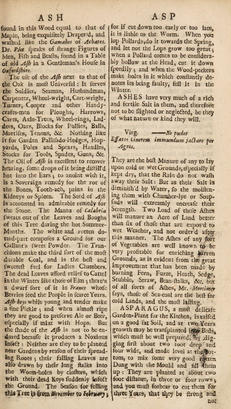 ASH found in this Wood equal to that of Maple, being exquilitely Diaper’d, and wafhed like the Gamahes of Achates. Dr. Tlot fpeaks of drange Figures of Men, Fifh and Beads, found in a Table of old Afh in a Gentleman's Houfe in Oxfordfhire. The ufe of the Afh next to that of *he Oak is mod Univerfal: It ferves the Soldier, Seaman, Husbandman, Carpenter, Wheel-wright, Cart-wright, Turner, Cooper and other Handy- crafts-men for Ploughs, Harrows, Carts, Axle-Trees, Wheel-rings, Lad¬ ders, Oars, Blocks for Pullies, Balls, Mortifes, Tenons, &c. Nothing like it for Garden Pallilado-Hedges, Hop- yards, Poles and Spears, Handles, Stocks for Tools, Spades, Guns, &c. The Oil of Afls is excellent to recover hearing, fome drops of it being diddl'd hot into the Ears j to anoint with it, is a Soveraign remedy for the rot of the Bones, Tooth-ach, pains in the Kidneys or Spleen. The Seed of Afh is accounted an admirable remedy for the Stone. The Manna of Calabria fweats out of the Leaves and Boughs of this Tree during the hot Summer- Months. The white and rotten do¬ tard-part compofes a Ground for our Gallants fweet Powder. The Trun- chions make the third fort of the mod durable Coal, and is the bed and fweeted fuel for Ladies Chambers. The dead Leaves afford relief to Cartel in the Winter like thofe-of Elm *, there’s a dwarf fort of it in France whofe Berries feed the People in fcarce Years. Afh-keys while young and tender make a fine Pickle 5 and when almod ripe they are good to preferve Ale or Beer, efpecially if mixc with Hops. But the (hade of the Afh is not to be en¬ dured becaufe it produces a Noxious Infeft : Neither are they to be planted near Gardens by reafon of their fpread- ing Roots 5 their falling Leaves are alfo drawn by their long dalks into the Worm-holes by cinders, which with their dead Keys fuddenly kifeft the Ground. The Seafon for felling this Tree is from ffmmkr to February $ ASP for if cut down too early or too late„ it is liable to the Worm. When yon lop Pollards,do it towards the Springs and let not the Lops grow too great 5 when a Pollard comes to be coniidera- bly hollow at the Head, cut it down fpeedily ; and when the Wood-peckers make holes in it which condantly de¬ notes its being faulty, fell it in the Winter. ASHES have very much of a rich and fertile Salt in them, and therefore not to be flighted or neglected, be they of what nature or kind they will. Virg, ■■■ -—iVe pudet Efatos tinerem immundum j aft are per Agros. They are the bed Manure of any to lay upon cold or wet Grounds, efpecially if kept dry, that the Rain do not wafh away their Salt: But as their Salt is diminiflfd by Water, fo the moiden- ing them with Chamber-lye or Soap- fuds will extreamly encreafe their Strength. Two Load of thefe Afhes will manure an Acre of Land better than fix of thofe that are expos’d to wet Weather, and not order’d after this manner. The Afhes of any fort of Vegetables are well known to be very profitable far enriching J^rfen Grounds, as is evident from the great Improvement that has been made by burning Fern, Furze, Heath, Sedge, Stubble, Straw, Bean-dalks, &c. but of all forts of AOies, Mr. ' Mortimer fays, thofe of Sea-coal are the bed for cold Lands, and the mod lading. ASPARAGUS, a mod delicate Garden-Plant for the Kitchen, is *affed on a good fat Soil, and at twq Years growth may be tranfplanted i$jr Bed% which mud be well prepared, % .dig¬ ging fird about two toot deep and four wide, and made level at thjjjfot- tom, to mix fome very good flit eft Dung with the Mould and fill them up : They are planted at about two foot didanee, in three or four rows 5 and you mud forbear to cut them for three Ye*rs, that tljey b<s ftrong and *  ” mt