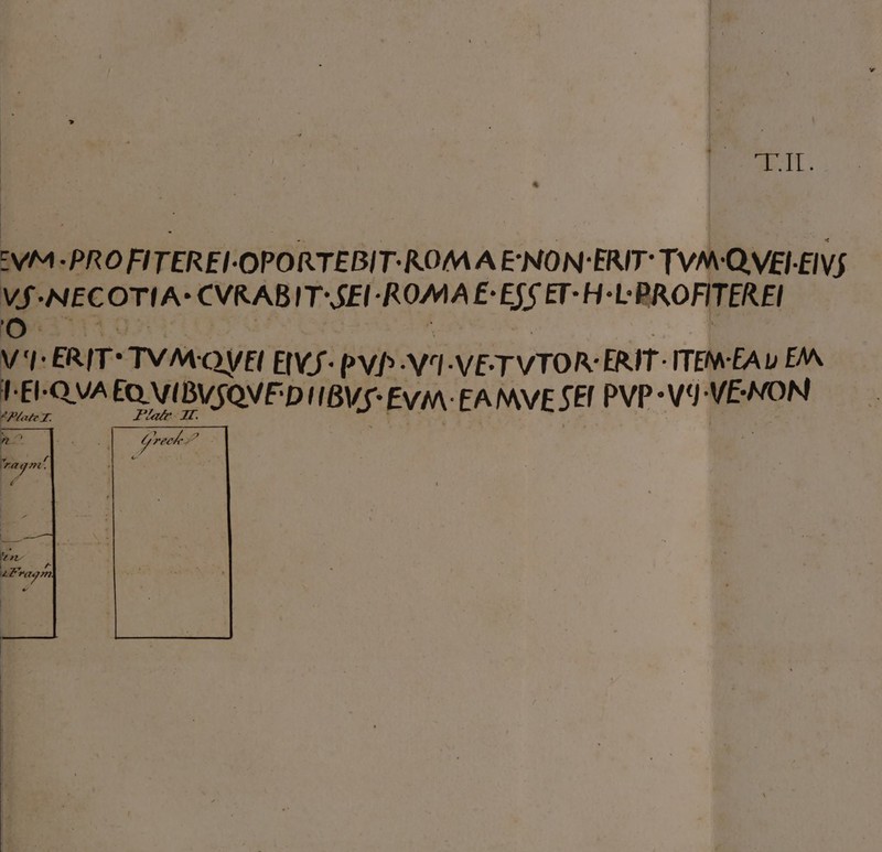 VS-NECOTIA: CVRABIT: SEI: ROMAE- ESS ET -H-L:PROFITEREI lok VV ERIT*TVM OVEN EIVS: PVP -V1-VETVTOR:ERIT: ITEM-EAD EM I El. QUA — pt IBVS- EVM: EAMVE SEI PVP °V9° VE: NON