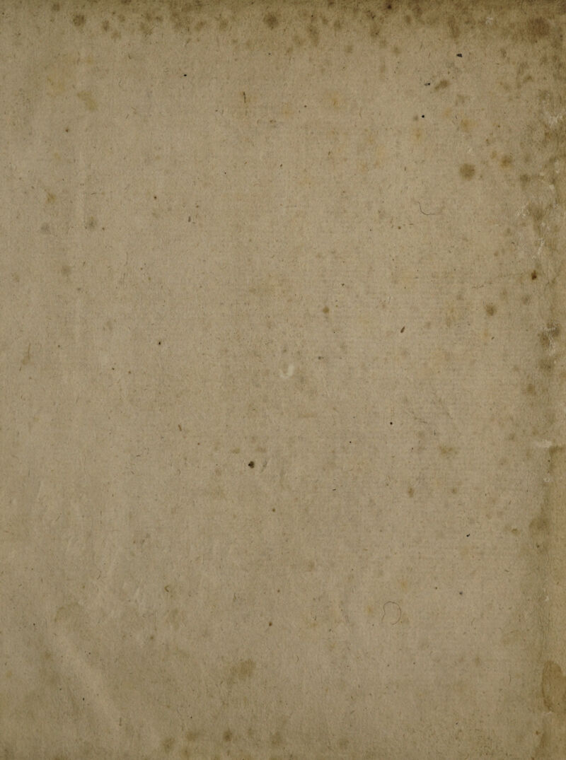 41 • V K v* 7+ I / ‘W*- l 4* dH 4 / « ; ;;fi ?.k>, / *