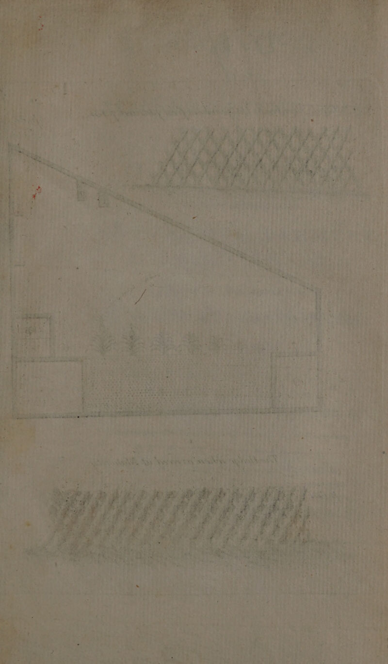 or EE one ~~ - Se he; -~ gone es ih 5 Oe eM Sy i ry