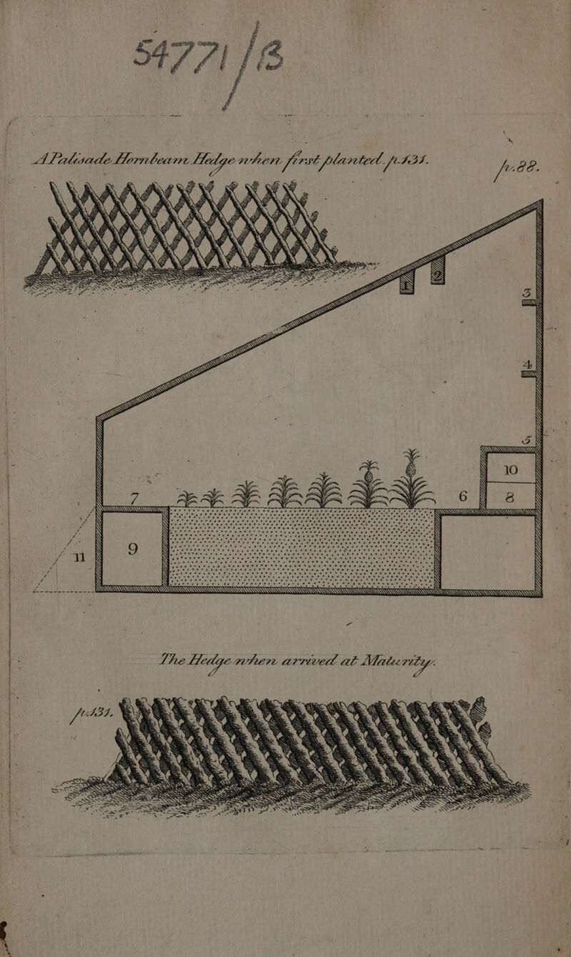 5477) /8 Cd dcccaccc HLL: \5 \ N N N NE N i KIM MMAIIN C2 — iid cccddddce Via . \ WMH. 7} Zz dcdcdc ZEEE. idee Yt Ip eed esse? en0n 0 8-0 = one fee ; AINA YZ . ; ) | ; T) he Ledge wher arrived al Mair riley , . | 4 bod