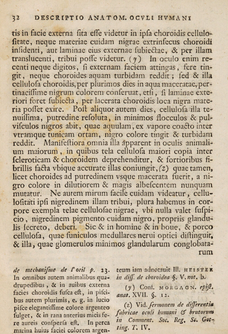tis in facie externa fita efle videtur in ipfa choroidis cellula- fitate, neque materiae cuidam nigrae extrinfecus choroidi infidenti, aut laminae eius externae fubiedtae, & per illam translucenti, tribui pofle videtur. (<y) In oculo enim re¬ centi neque digitos, fi externam faciem attingas, fere tin¬ git , neque choroides aquam turbidam reddit; fed & illa cellulofa choroidis, per plurimos dies in aqua maceratae, per- tinaciffime nigrum colorem conferuat, etli, fi laminae exte¬ riori foret fubiefta, per lacerata choroidis loca nigra mate¬ ria poffet exire. Polt aliquot autem dies, cellulofa illa te- nuilfima, putredine refoluta, in minimos flocculos & pul- vifculos nigros abit, quae aquulam, ex vapore coacto inter vtramque tunicam ortam, nigro colore tingit & turbidam reddit. Manifeftiora omnia illa Apparent in oculis animali¬ um maiorum, in quibus tela cellulofa maiori copia inter fcleroticam & choroidem deprehenditur, & fortioribus fi¬ brillis tafta vbique accurate illas coniungit, (z) quae tamen, licet choroides ad putredinem vsque macerata fuerit, a ni¬ gro colore in dilutiorem & magis aibefcentem nunquam mutatur. Ne autem mirum facile cuidam videatur, cellu- lofitati ipfi nigredinem illam tribui, plura habemus in cor¬ pore exempla telae cellulofae nigrae, vbi nulla valet fufpi- cio, nigredinem pigmento cuidam nigro, propriis glandu¬ lis lecreto, deberi. Sic & in homine & in boue, & porco cellulofa, quae funiculos medullares nerui optici diftinguir, & illa, quae glomerulos minimos glandularum conglobata¬ rum de mechamfme de Poeil p. zg. teum iam adnotamc II!. hei ster In omnibus autem animalibus qua- in dijf de choroidea §. V.not. b. drupedihus , & in auibus externa ^) Conf. morgagn. epift* facies choroidis fufca eft, in pilei- amf xvn. §. i**, bus autem plurimis, e. g. in lucio * T. _ . pifce elegantiflime colore argenteo „ (0 Vid.fermonem de dtfferentm fulget, & in rana anterius micisfe- fabncae ocuh humam & lutorum re aureis confperfa eft. In perca tn Comunt. Soc. Reg. Se. Cot~ marina huius faciei colorem argen- tln3' ■