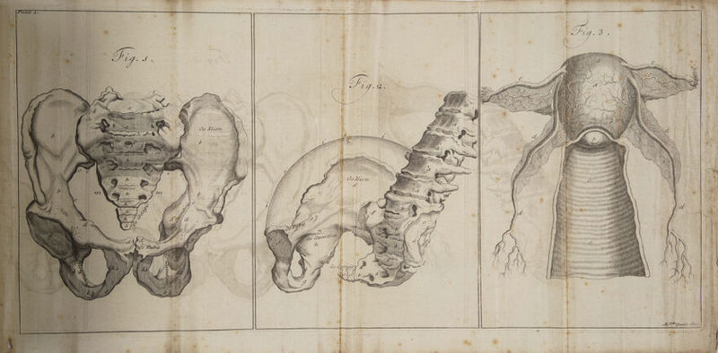 + f \\' Ly iyi | Nhs ; AW } : | ASS - Set Min I Haas iii {VQ \ . f bin STAT TER CCeTT TTT a dass Y WW \ : bb pa a ) S s- Bali gn : WN! ay Pay? i HOMH HA NUtl {THES \ HS: : ag MINUS YL) «slay HTS s ae hs : - aT cat AAA L (ALEC) iii \ N\ MA PLCC UC ayaa ae i i fe eS . Wh x ‘E i s a ul 2 { : ae YY MGT ALANS a): wen ass Ni 3 ets +] \ ae ae : | YAN {Ayn l ANSE A Ale iar: ; 3 AN NACE EC Ss Se COR ¢ A auitatiini LH HERS WM aie (ii init TN (HU ddttinthy its THAN AMA} PAUL IW } il \ SN IRS age pars Liaising, <del” Wi HHH PTRELCCUCUEAL UCT TUNTTSCUAR LAGAN RNAS INL Au ERAT Well Hudddustdqueuait iti RR : | \ ia N RS a NUTTER TAAMALEIAREE AS = Ou Gpetgus ¢ - iN iN ‘ A GEE Og iii ARR a (aig ae AX Nit SN “4 ty < © yO S ‘ « Ny NU eT BANS ht Panty easily SN : i = Sst siit] 4 7 = a # | 5. oe Pie, ie 3% ars hey Pop iF: