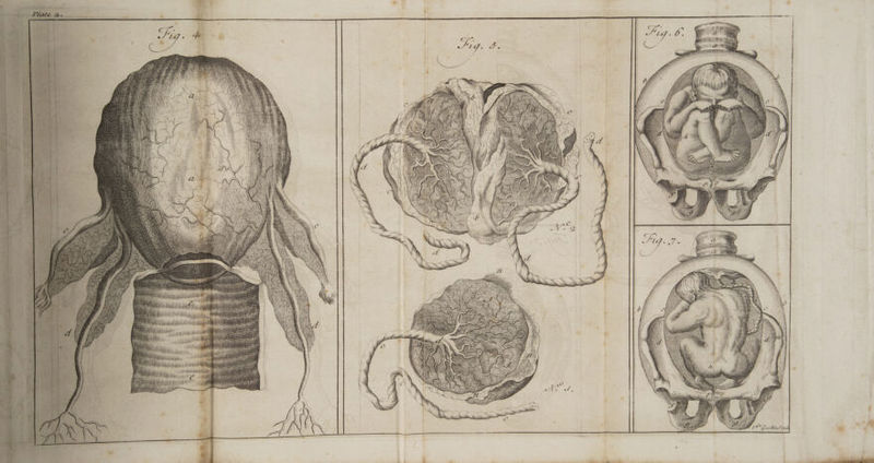 y rrr re Ady a a a en Rs — ——J —— FSF =< — —— = a Mi itt aiid UL | Wi ete I) Am | Ayu