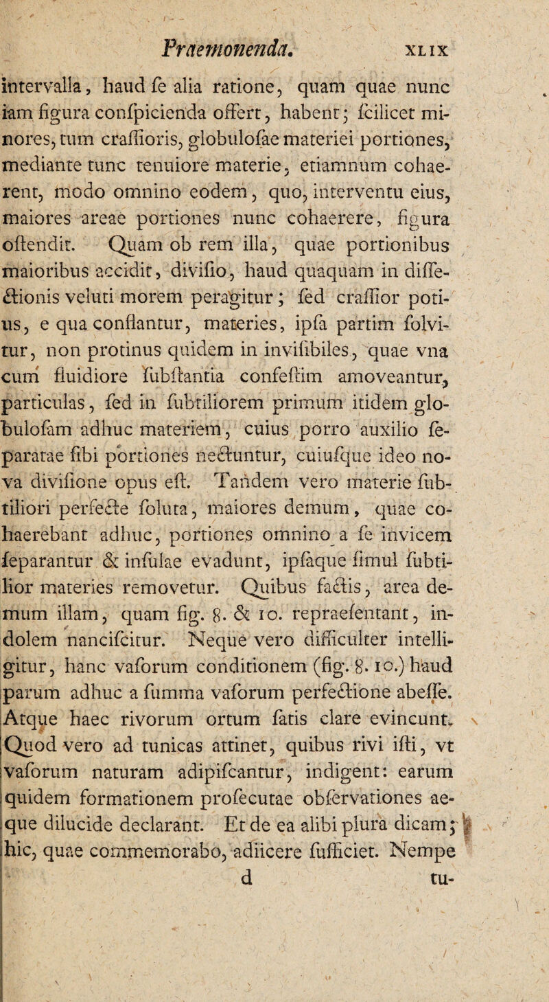 , < • • i • . '4 . intervalla, haud fe alia ratione, quam quae nunc iam figura confpicienda offert, habent; fcilicet mi¬ nores, tum craflioris, globulofae materiei portiones, mediante tunc tenuiore materie, etiamnum cohae¬ rent, modo omnino eodem, quo, interventu eius, maiores areae portiones nunc cohaerere, figura offendit. Quam ob rem illa, quae portionibus maioribus accidit, divifio, haud quaquam in diffe- ftionis veluti morem peragitur; fed craffior poti¬ us, e qua conflantur, materies, ipfa partim folvi- tur, non protinus quidem in invifibiles, quae vna cum fluidiore fubftantia confeftim amoveantur, particulas , fed in fubriliorem primum itidem glo- bulofam adhuc materiem, cuius porro auxilio fe- paratae fibi portiones neftuntur, cuiufque ideo no¬ va divifione opus eft Tandem vero materie fiib- tiliori perfefte foluta, maiores demum, quae co¬ haerebant adhuc, portiones omnino a fe invicem feparantur & infulae evadunt, ipfaque fimul fubti- lior materies removetur. Quibus fa£tis , area de¬ mum illam, quam fig. 8. & io. repraefeptant, in- dolem nancifcitur. Neque vero difficulter intelli- gitur, hanc vaforum conditionem (fig. 8* io.) haud parum adhuc a fumma vaforum perfe&ione abeffe. Atque haec rivorum ortum fatis clare evincunt. Quod vero ad tunicas attinet, quibus rivi ifti, vt vaforum naturam adipifcantur, indigent: earum quidem formationem profecutae obfervationes ae¬ que dilucide declarant. Et de ea alibi plura dicam; | hic, quae commemorabo, adiicere fufficiet. Nempe d tu-