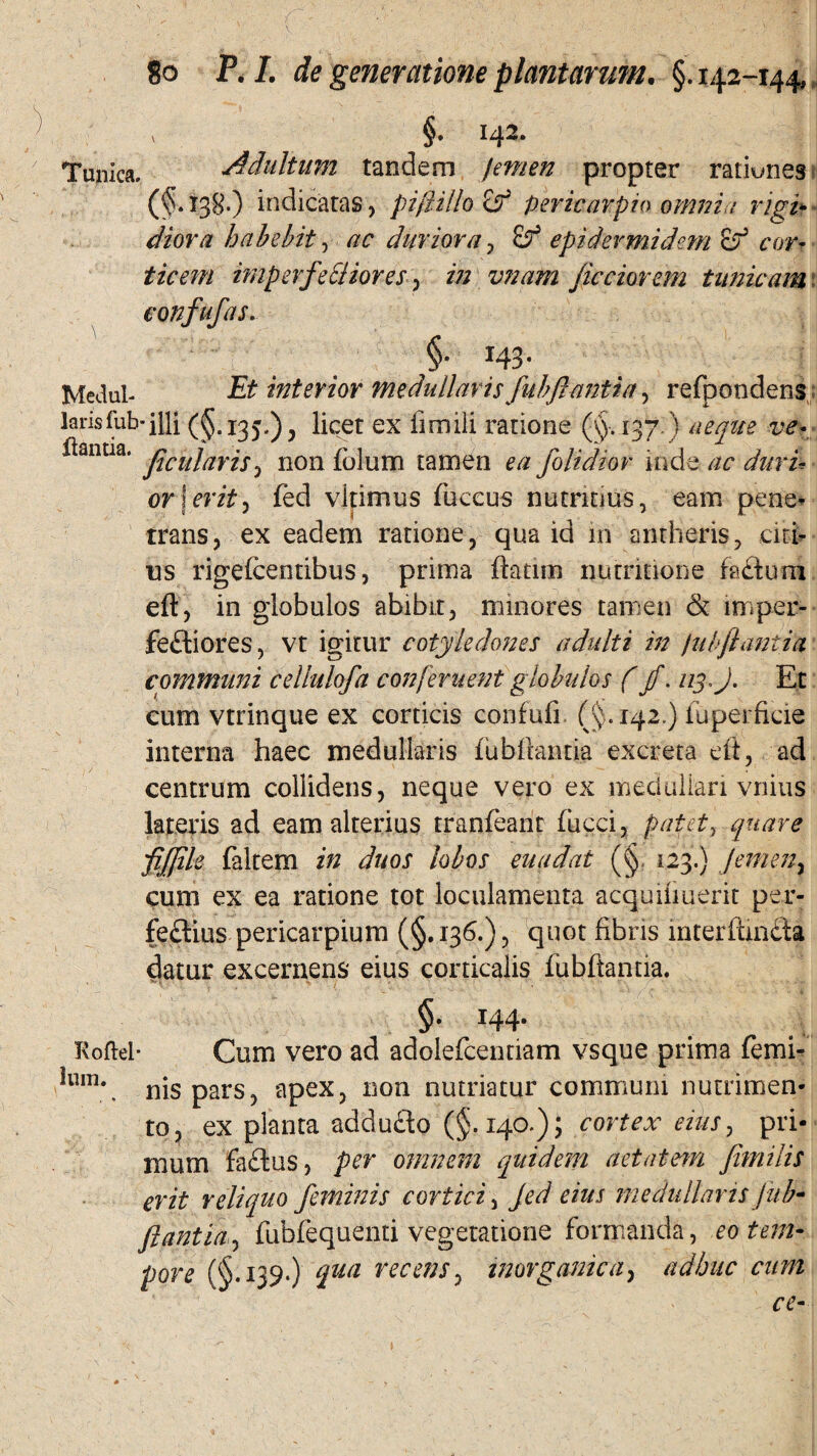 v §. 142. Tunica. Adultum tandem femen propter rationes (v). 13$-) indicatas5 pi/lilio £7 pericarpio omnia rigit diora habebit, ac duriora , epidermidem & cor¬ ticem imperfecliores , in vnatn ficciorem tunicam eonfufas, §• 143- Medul- Et interior medullaris fubflanti a, refpondens larisfub-illi (§.135.), licet ex fimili ratione 137.) aeque ve- lianda. jfcuja}qs^ non f0]UI1Q tamen ea folidiov inde ac duri¬ or jerit, fed vltimus fuccus nutritius, eam pene* trans, ex eadem ratione, qua id in antheris, citi¬ us rigefcentibus, prima {fatim nutmione facium eft, in globulos abibit, minores tamen & imper¬ fectiores , vt igitur cotyledones adulti in fub flantia communi cellulofa conferuent globulos (jf. iiyj. Et cum vtrinque ex corticis confufi (§.142.) fuperficie interna haec medullaris fubftantia excreta eft, ad centrum collidens, neque vero ex medullari vnius lateris ad eam alterius tranfeant fucci, patet, quare flfjile faltem in duos lobos euadat (§, 123.) Jemen, cum ex ea ratione tot loculamenta acquihuerit per- fedius pericarpium (§. 136.), quot fibris interfanda datur excernens eius corticalis fubftantia. §. 144. Roftel* Cum vero ad adolefcentiam vsque prima femi- lum. nispars, apex, non nutriatur communi nutrimen¬ to, ex planta addudo (§.140.); cortex eius, pri¬ mum fadus, per omnem quidem aetatem fimilis erit reliquo feminis cortici, fed eius medullaris fub- flantia, fubfequenti vegetatione formanda, eo tem¬ pore (§.139*) ciua recens, inorganica, adhuc cum