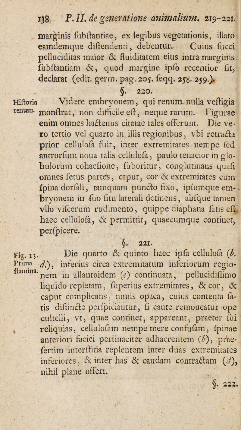 marginis fubftantiae, ex legibus vegetationis, illato eamdemque diftendenti, debentur. Cuius fucci pelluciditas maior & fluiditatem eius intra marginis _ fubftantiam &, quod margine ipfo recentior fit, declarat (edit, gerro. pag. 205. feqq. 25%. 259.). §. 220. Hirtoria Videre embryonem, qui renum.nulla v effigia renum, monffrat, non difficile eff, neque rarum. Figurae enim omnes hactenus citatae tales offerunt. Die ve» ro tertio vel quarto in illis regionibus, vbi retrada prior cellulofa fuit, inter extremitates nempe fed antrorfum noua talis cellulofa, paulo tenacior in glo¬ bulorum cohaefione, fuboritur, conglutinans quafi omnes fetus partes, caput, cor & extremitates cum fpina dorfali, tamquam pundo fixo, ipfutnque em-, ' bryonem in fuo fitu laterali detinens, abfque tamen vllo vifcerum rudimento, quippe diaphana fatis eft haec cellulofa, & permittit, quaecumque continet, perfpicere. §. 221. Fig. 13. Die quarto & quinto haec ipfa cellulofa {h. Pnma inferius circa extremitatum inferiorum regio- ^annna.nem in allantoidem (e) continuata, pellucidiflimo liquido repletam, fuperius extremitates, &cor, & caput complicans, nimis opaca, cuius contenta fa¬ tis diffinde perfpiciantur, fi caute remoueatur ope cultelli, vt, quae continet, appareant, praeter fui reliquias, cellulofam nempe mere confufam, fpinae anteriori faciei pertinaciter adhaerentem (l)9 prae-, fertim interffitia replentem inter duas extremitates inferiores, & inter has & caudam contradam (<:/), - nihil plane offert.