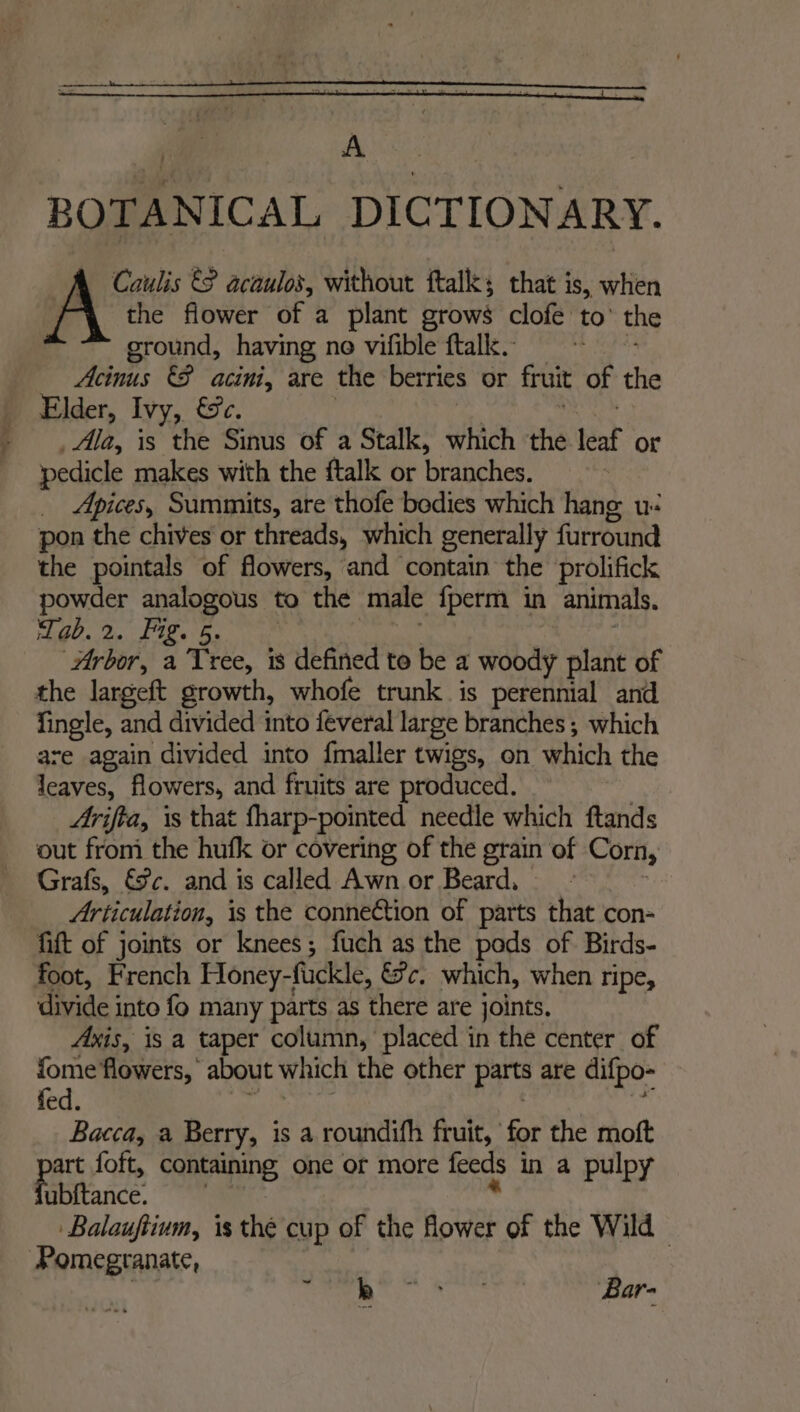 BOTANICAL DICTIONARY. Ye €? acaulos, without ftalks that is, when the flower of a plant grows clofe to’ the ground, having ne vifible ftalk. Acinus B acini, are the berries or fruit of the Elder, Ivy, &amp;c. Ala, is the Sinus of a Stalk, which ‘the leat or pedicle makes with the ftalk or branches, Apices, Summits, are thofe bodies which hang u- pon the chives or threads, which generally furround the pointals of flowers, and contain the prolifick powder analogous to the male {perm in animals. G0. %- FIL 5 Arbor, a Tree, is defined to be a wobay plant of the largeft growth, whofe trunk is perennial and fingle, and divided into féveral large branches ; which are again divided into f{maller twigs, on which the leaves, flowers, and fruits are produced. Arifta, is that fharp-pointed needle which ftands out fromi the hufk or covering of the grain of Corn, Grafs, €@c. and is called Awn or Beard, - Articulation, is the conneCtion of parts that con- fift of joints or knees; fuch as the pods of Birds- foot, French Honey-fuckle, &amp;c. which, when ripe, divide into fo many parts as there are joints. Axis, is a taper column, placed in the center of fome flowers, about which the other parts are difpo- fed. Bacca, a Berry, is a roundifh fruit, for the moft as foft, containing, one or more feeds in a pulpy ubftance. Balaufiium, is thé cup of the flower of the Wild Pomegranate, eo. Vie eres: Bar-