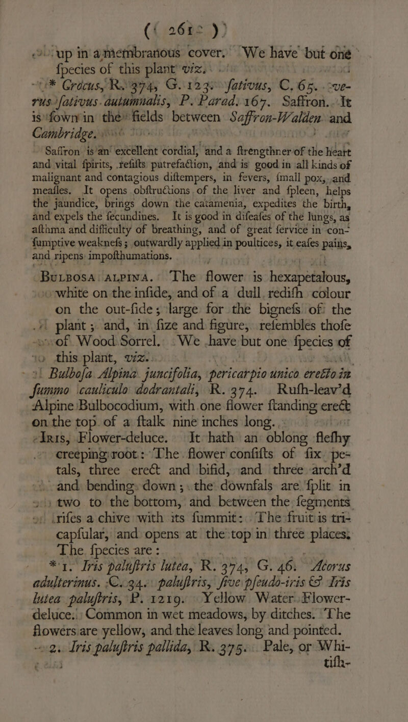( i 9672 y? .0cup in’ amembrarious cover. We have but ote -_Apecies of this plant viz. * Crocus, Ra 374, G. 123s fativus, C, 6m. ~ve- rus fativus. autumnalis, P. Parad. 167. Saffron. . Tt is fown in Fe fields between Saffron-W alien and Cambridge 0 Saffron is’an’ rephledt cordial, anda firengthner of the heart and vital fpirits, .refifts putrefadtion, and is’ good in all kinds of malignant and contagious diftempers, in fevers, {mall pox,..and meailes. It opens obftructions of the liver and {pleen, helps the jaundice, brings down the catamenia, expedites the birth, and expels the fecundines. It is good in difeafes of the lungs, as afthma and difficulty of breathing, and of great fervice in con- fumptive weaknefs ; outwardly applied in poultice 8, it eafes pains, and Tipens: impofthumations. Buizosa. aupina. ‘The flower iS Ret oo o white on the infide, and of a dull. redith colour on the out-fide; large for the bignefs of the weg ; and, ‘in fize aval fisure, refembles thofe of Wood Sorrel. We -have ep one Epecies of yo this plant, viz. | | Bulbofa Alpina. juncifolia, hericidb hi unico erefto in jee cauliculo dodrantali, R. 374. | Ruth-leav’d Alpine Bulbocodium, with. one flower ftanding ereét on the top. of a ftalk. nine inches long... Anis, Flower-deluce. It hath an: oblong fethy - ereeping:root: ‘The. flower confifts of fix. tals, three erect and bifid, and three arch’ . and. bending: down ; « the downfals are fplit. in +) two to the bottom, and between the fegments. 4) .ifes a chive with its fummit: The fruits tri- capfular, and opens at oh in) three places. The. fpecies are: re * 1. Tris paluftris lutea, R. 344, G . 46. Acorus adulterinus. :C..34.: palufiris, five pfeudo-iris &amp;? Tris lutea paluftris, PB. 1219. Yellow Water. Plower- deluce:|; Common in wet meadows, by ditches. ‘The -osbedel are yellow, and the leaves long and pointed. tun-