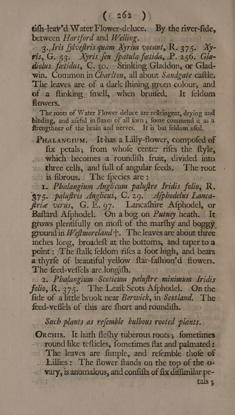 (¢ 262&gt; )) tifh-feav’d Water Flower-deluce. . By, the river-fide, between Hartford and Welling. | 3.,dris fyluefiris quam Xyrim vocant,: R. 375. xy- vis, G.i53. Xyris feu fpatula fatida,.P. 256. Gle- diolus. feetidus, C. 30. . Stinking Gladdon, or Glad- win. Common in Chariton, all about Sandgate caftle. The leaves are of a dark fhining green.colour, and of .a ftinking. {mell, | ~when bruiled. It feldom ~ flowers. The roots of Water Flower-deluce are oA drying and binding, and. ufeful in fluxes of all forts; fome commend it as a ftrengthner of the brain and nerves, It's ‘but feldom. ufed, /Puarancrum. «Ithas a Lilly-flower, compofed of fix petals; from whofe ‘center rifes the ftyle, » which» becomes a roundifh fruit, divided into three cells, and full of angular frais: The root is fibrous. The fpecies are : | 1. Phalangium Anglicum palufire frisks folio; R 375. palufiris Anglicus, C. 29. Afphodelus Lanca- firie verus, G. E.97. Lancathire Afphodel, or Baftard. Afphodel. On abog on Puéiney heath. It grows plentifully on moft of “the marfhy and boggy. ground in Weftmoreland +. ‘The leaves are about three inches long, broadeft at the bottoms, and taper to a point : “The ftalk feldom rifes a foot high, and bears a thyrfe of beautiful yellow | ftar -fathion’d flowers. The feed-vefiels arelongith. » 2. Phalangium ‘Scoticum paluftre minimum Tridis folio, R. 375. The Leaft Scots Afphodel. On the fide of a little brook near Berwick, in Scotland. The feed-veffels of this are fhort and elitien Such plants as refemble bulbous rooted plants. Orcuis. It hath flethy tuberous. roots; fometimes round like tefticles, fometimes flat and palmated 3 The leaves are fimple, and refemble. thofe of . Lilhes: The flower ftands on the top of the o- vary, is anomalous, and confifts of fix diffimilar pe- tals 5