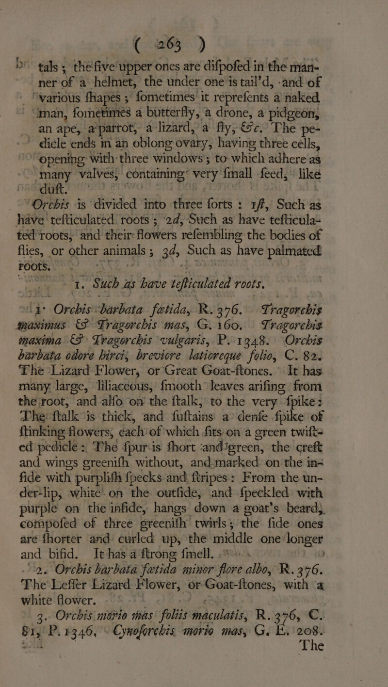 tals ; the'five upper ones are difpofed i in the man- ner oF a helmet, the under one is tail’d, -and of _ “warious fhapes ; fometimes it reprefents a naked - Gman, fometimes a butterfly, a drone, a pidgeon, __ an ape,! a‘ parrot, a lizard,’ a fly; &amp;c.’ The pe- ~ dicle ends im an oblong ovary, having three cells, © opening with three windows 3 to which adhere as “many valves, containing: wig fmall feed, like es, ale - “Orcbis is divided into face forts : ft, Such as have tefticulated roots ; 2d, Such as have tefticula- ted ‘roots; and their: flowets refembline the bodies of flies, _ or other armas ; 26&gt; puch as have palmated FOOtS. ; ed ws af I. Such as have iePicalated roots. ip Orbis! arbata fatida, R %. 376. Ti Saplerebis maximus &amp;F Tragorchis mas, G. 160. Tragorchis maxima &lt;3 Tragorchis vulgaris, P. 1348. Orchis barbata odore hirci, breviore latioreque folio, C. 82. The ‘Lizard Flower, or Great Goat-ftones. © It has many large, Jiliaceous, fmooth’ leaves arifing ‘from the root, and alfo on the ftalk, to the very “ fpike : 3 The: flak: is thick, and faf-aing a denfe fpike of ftinking: flowers, each of which fits on a oreen twifts ed pedicle :, Phe {pur is thort andJereen, the creft and wings ereenith without, and-marked on the in= fide with purplifh fpecks and ftripes : From the un- der-lip, white on the outfide, ‘and fpeckled with purple on the infide, hangs down a goat’s beard), compofed of three greenifh twirls; the fide ones are fhorter and’ curled up, the middle one va and bifid. It has a'ftrong fmell, o%» 2. Orchis barbata futida minor flore albo, R. 346. The Leffer Lizard Flower, or Gont-ftones, with a white flower. 3. Orchis mario mas oli macillatis, R. 376, Cc. on P. 1346, \ Cynofarchis morio mas, G. KE. nad The