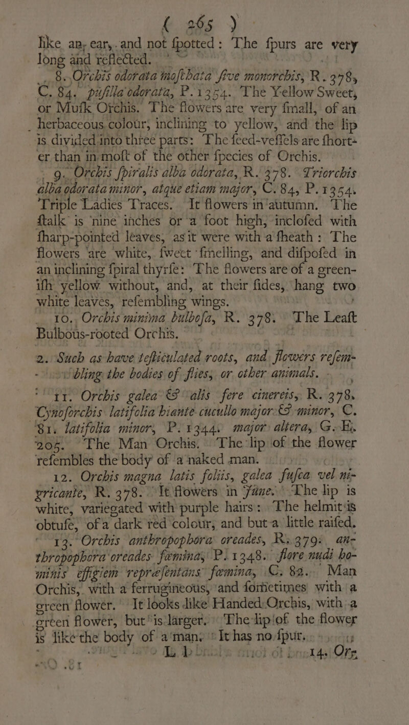 f 395 ) like ap, ear,.and not fpotted: The fpurs are very Jong and reflected. * ~~ : 4.1 _. 8 Orchis odorata tafthata five monorchis, R . 378, C. 84. pufilla odorata, P.1354. The Yellow Sweet, or Mufk Ofchis. The flowers are very fmall, of an _ herbaceous, colour, incliiing to yellow, and the lip is divided.into three parts: The feed-veffels are fhort= er than in molt of the other fpecies of Orchis. . g. Orchis /piralis alba oderata, R. 378. Triorchis alba odorata minor, atque etiam major, C.84, P.1354. Triple Ladies Traces. It flowers in‘attumn. ‘The ftalk is ‘nine inches or a foot high, inclofed with fharp-pointed leaves, asit were with a fheath : The flowers ‘are white, fwecet ‘fmelling, and difpofed in an inclining fpiral thyrfe: ‘The flowers are of a green- ifh yellow without, and, at their fides, hang two white leaves, refembling wings. ay ay _ 10., Orchis minima bulbofa, R. 378. The Leatt Bulbous-rooted Orchis. ~~ L | 2. Such as have tefticulated roots, and flowers refem- - ov bling the bodies of flies; or other animals. - ‘' tr. Orchis galea &amp;8 alis fere cineretsy, R. 378, Cynoforchis latifolia biante-cucullo major. £5 minor, C. 81. latifolia minor, P. 1344. major altera, GOK. 205. “The Man Orchis. The lip of the flower tefembles the body’ of a ‘naked man. | 12. Orchis magna latis foliis, galea fufca vel nim pricanie, R. 378. It flowers in Fane. ‘Lhe lip is white, variegated with purple hairs: “The helmitss obtufé, of a dark red colour, and but-a ‘little raifed. 13. Orchis anthropophora: oreades, Ri379: an- thropopbora oreades fuemina, P.1348. flore nudi ho- minis efigiem reprefentans femina, ©. 82. Man Orchis,. with a ferrugineous, ‘and fomictimes, with a green flower. It looks dike’ Handed,Orchis, with a green flower, but is larger. The lipiof the flower is like the body of a‘man. *Ithas nodfpur.. + 0 SHEET eo TBI bible auch ot brat asi Ore at } “YT .