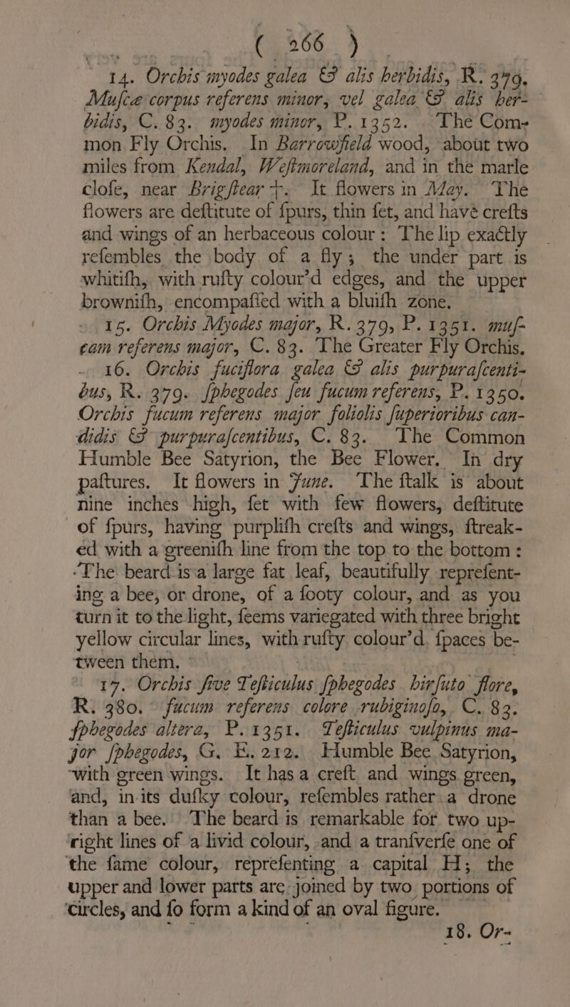 14. Orchis myodes galea © alis herbidis, R. 379, Mufce corpus referens minor, vel galea S alis her- bidis, C. 83. myodes minor, P.1352. The Com- mon Fly Orchis. In Barrowyield wood, about two miles from Kendal, Weftmoreland, and in the marle clofe, near Brigftear --. It flowers in Aday. The flowers are deftitute of f{purs, thin fet, and havé crefts and wings of an herbaceous colour: The lip exactly refembles the body of a fly; the under part is whitifh, with rufty colour’d edges, and the upper brownifh, encompafied with a bluith zone. 15. Orchis Myodes maor, R.379, P.1351. muj- cam referens major, C. 83. The Greater Fly Orchis, 16. Orchis fuciflora galea © alis purpurafcenti- bus, R. 379. fphegodes feu fucum referens, P. 1350, Orchis fucum referens major foliolis fuperioribus can- didis FP purpurafcentibus, C. 83. The Common Humble Bee Satyrion, the Bee Flower. In dry paftures, It flowers in June. The ftalk is about nine inches high, fet with few flowers, deftitute of fpurs, having purplifh crefts and wings, ftreak- ed with a greenifh line from the top to the bottom : ‘The beard_isva large fat leaf, beautifully reprefent- ing a bee, or drone, of a footy colour, and as you turn it to the light, feems variegated with three bright yellow circular lines, with rufty colour’d, {paces be- tween them, ° | | 17. Orchis five Tefticulus {phegodes hirfuto flore, R. 380. fucum referens colore rubiginofa, C. 83. fpbegodes altera, P.1351. Tefticulus vulpinus ma- jor {pbegodes, G, 1. 212. Humble Bee. Satyrion, ‘with green wings. It has a creft and wings green, and, in-its dufky colour, refembles rather. a drone than a bee. The beard is remarkable for two up- right lines of a livid colour, and a tranfverfe one of the fame colour, reprefenting a capital H; the upper and lower parts are joined by two portions of ‘circles, and fo form a kind of an oval figure. — s hile 18. Or-