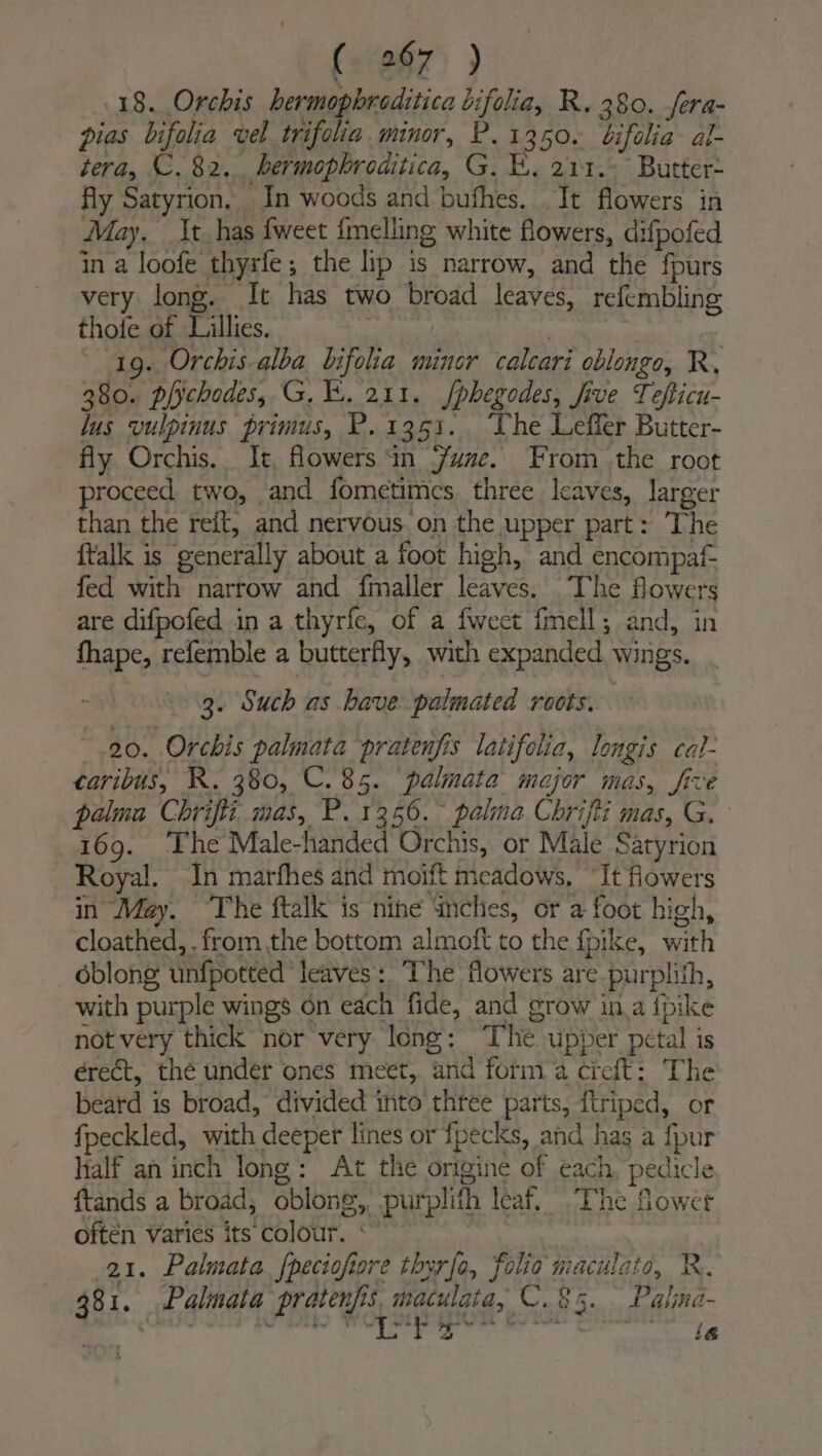 (067. ) . 18. Orchis bere inediice bifolia, R. 380. fera- pias bifolia vel trifolia. minor, P.1350. bifolia al- tera, ©. 82. hermophroaitica, G. &amp;. 211. Butter- fly Satyrion. In woods and bufhes. It flowers in May. It. has fweet fmelling white flowers, difpofed in a loofe thyrfe; the lip is narrow, and the fpurs very long. It has two broad leaves, refembling thote of Lillies. : ) 1g. Orchis-alba bifolia mincr calcari oblongo, Ry 380. piychodes, G, EK. 211. Jphegodes, five Tefticu- lus vulpinus primus, PR. 1351. The Leffer Butter- fly Orchis.. It, lowers in une. From the root proceed two, and fometimes three lcaves, larger than the reft, and nervous. on the upper part: The ftalk is generally about a foot high, and encompaf- fed with narrow and fmaller leaves. The flowers are difpofed in a thyrfe, of a {weet fmell; and, in fhape, refemble a butterfly, with expanded wings. 3. Such as have palmated roots. 20. Orchis palmata pratenjis latifolia, longis cal- caribus, R. 380, C.85. palmata major mas, five palma Chrifti mas, P. 1356. ~ pala Chrifti mas, G. 169. ‘The Male-handed Orchis, or Male Satyrion Royal. In marfhes and moift meadows, “It flowers in May. The ftalk is nine inches, or a foot high, cloathed, . from the bottom almoft to the fpike, with oblong unfpotted leaves: ‘The flowers are-purplith, with purple wings on each fide, and grow in a {pike not very thick nor very long: The upper petal is erect, thé under ones meet, and form a creft: The beard is broad, divided into three parts, ftriped, or fpeckled, with deeper lines or fpecks, and has a {pur Half an inch long: At the origine of each, pedicle ftands a broad, oblong, purplith leaf. The fower oftén varies its colour. ‘~ 21. Palmata {peciofiore thyrfo, folio maculato, R. Re iit a Abi Wopous gon’ ese 5 a