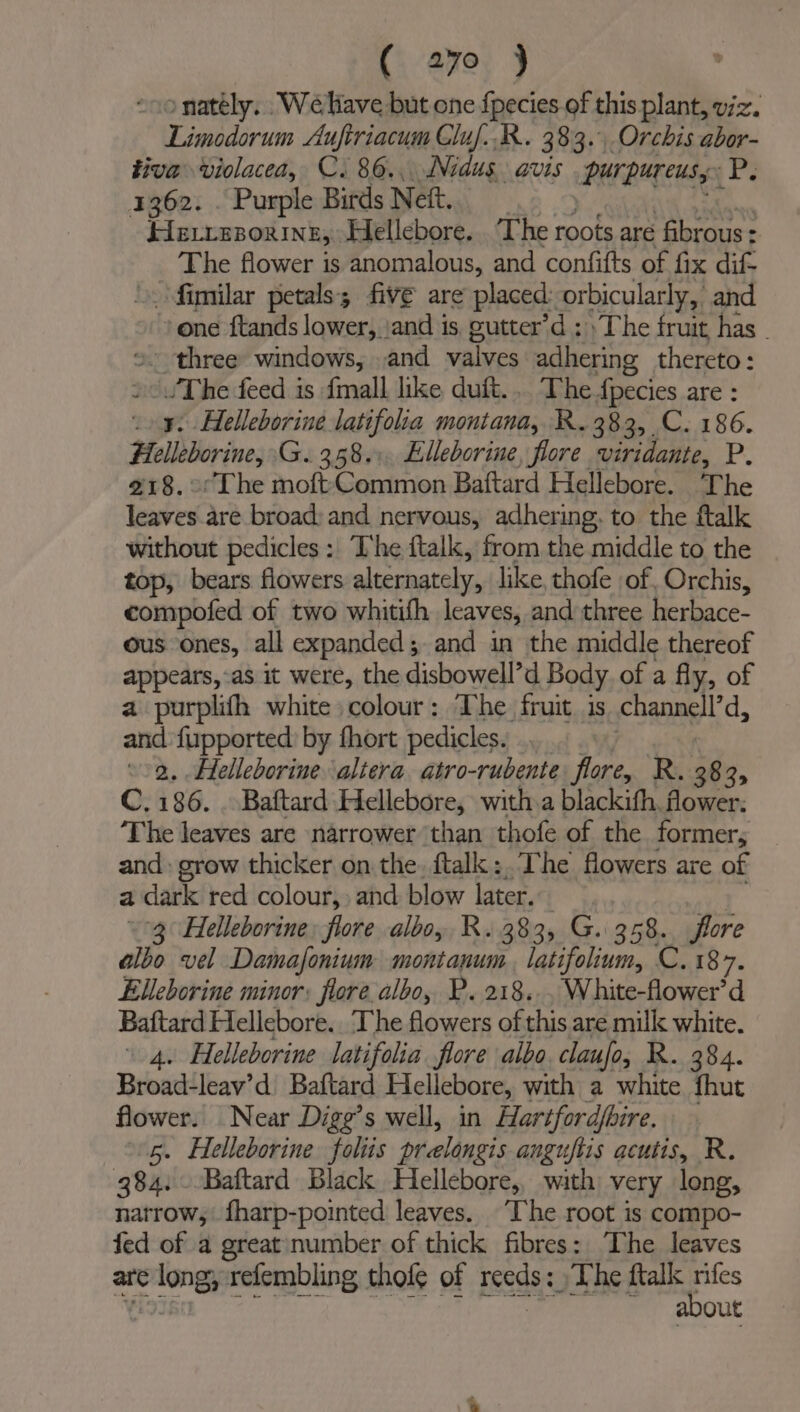 -oonateély. . Weave but one {pecies of this plant, viz. Limodorum Auftriacum Gluf..R. 383. Orchis abor- tiva violacea, C. 86... Nidus. avis purpurensy gP2 1362. . Purple Birds Nett, FievceporinE,: Hellebore. The roots are fibrous: The flower is anomalous, and confifts of fix ditt fimilar petals; five are placed: orbicularly, and one ftands lower, ‘and is gutter’d : The fruit has three windows, and valves adhering thereto: -/The feed is fmall like duft... The {pecies are : .o¥. Helleborine latifolia montana, R.383, _C. 186. Helleborine, \G. 358.:, Elleborine, flore viridante, P. 218. ©The moft Common Baftard Hellebore. The leaves are broad: and nervous, adhering. to the ftalk without pedicles: The ftalk, from the middle to the top, bears flowers alternately, like, thofe of, Orchis, compofed of two whitith leaves, and three beihace- ous ones, all expanded; and in the middle thereof appears, -as it were, the disbowell’d Body of a fly, of a purplifh white colour: The fruit. is channel’ d, al {upported: by fhort pedicles. »0, Helleborinealiera atro-rubente flore, R. 38 25 C.186. . Baftard Hellebore, with.a blackith, flower. The leaves are narrower than thofe of the formers and: grow thicker on the. ftalk:, The flowers are of a : dark red colour, and blow later. 3 Helleborine, flore albo, R. 383, G. 358. flore albo vel Damafonium montanum latifolium, C. 187. Elleborine minor: flore albo, P. 218... White-flower’d Baftard Hellebore.. The flowers of this are milk white. \ 4. Helleborine latifolia flore albo. claufo, R. 384. Broad-leav’d Baftard Hellebore, with a white fhut flower. Near Digg’s well, in Hartfordhire. 5. Helleborine foltis pralongis anguftis acutis, R, 384. -Baftard Black Hellebore,, with very long, natrow, fharp-pointed leaves. ‘The root is compo- fed of a great number of thick fibres: The leaves are re long, refembling thofe of pecas &gt;The ftalk rifes about