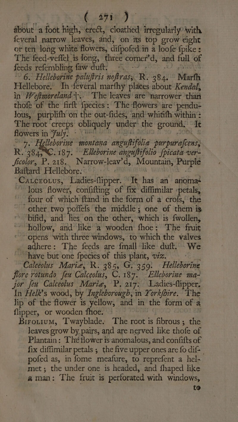( .S8i6 ) © about a foot high, “erect, cloathed: irregularly with feveral_ narrow “eaves: dnd on its top grow eight or ten long white flowers, difpofed i ina fool {pike : : The feed- wveftel. is dong, three comer d; aed re of feeds refembling faw'duft, 6. Helleborine paluftris i hea R. 384. Marfh Hellebore. Th ‘feveral marfhy places about Kendal, in Weftmoreland+.. ' The leaves are narrower ‘than thofe ‘of the firft {pecies : The flowers are‘ pendu- lous, purplifh°on the’ out-fides, ‘and’ whitith within The root creeps: obliquely under: the pais a Te flowers i in uly. ~ 49. Helleborine montana onpupitblie purpuerafeenss R. 384, %C.187. ~Elleborine anguftifolio {picata -ver- ficolor, P. 218, Narrow-leav’ d, pune day x Baftard Hellebore.: -Catcrotus, Tadieslnioper: ‘Tt had an anoma- lous flower, confifting of fix’ diffimilar | ‘petals, four of which ftand ‘in the form of a crofs,' the other two poffefs the middle; one of them is ‘bifid, and lies on the other, which is fwollen, “ hollow, and ‘like’ a wooden fhoe: The ‘fruit opens with three windows, to which the valves . adhere: The feeds are {mail ‘like duft.: -We “have but one fpecies of this plant, viz. Caleeolus Mariz, R. 385, G. 359: — Helleborine flore rotundo feu Calceolus, C. 187. Elleborine ma- jor feu Calceolus Maria, P, 217: Ladies-flipper. In Helk’s wood, by Ingleborough, in York/bire. The lip of the flower is yellow, and in y the form of a flipper, or wooden fhoe. Birotium, ‘Twayblade. The root is fibrous ; i leaves grow by pairs, and are nerved like thofe of Plantain: The flower is anomalous, and confifts of fix diffimilar petals ; the five upper ones are fo dif. pofed as, in fome meafure, to reprefent a hel- met ; the under one is headed, and fhaped like aman: The fruit is perforated with windows, to