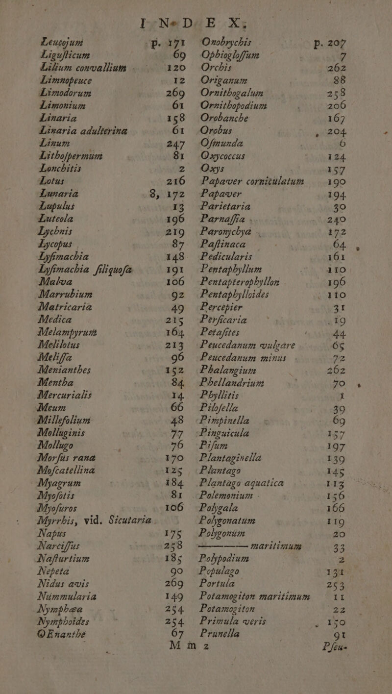 Ligufticum Likum convallium » Limnopeuce Limodorum Limonium Linaria Linaria adulterina Linum Litho/permum Lonchitis Lotus Lunaria Lupulus Luteola Lychnis Lycopus | Lyfimachia Lyfimachia filiquofa Malva Marrubium Matricaria Medica Melampyrum Melilotus Melifja Menianthes Mentha Mercurialis Meum Millefolium Molluginis Mollugo Morfus rane Mofcatellina Myagrum Myofatis Myofuros Myrrhis, vid. Sicutaria. Napus Nareciffus Nafturtium Nepeta Nidus avis Nimmularia Nymphaea Nymphoides OEnanthe 171 =Onobrychis 69 Ophiogloffum 120 0 ©Orchis 12 Origanum 269 ©Ornithogalum 61 Ornithopodium 158 Orobanche 61 Orobus 247 Ofmunda 81 Oxycoccus 2 Oxys 216 Papaver cornitulatum 172 Papaver 13 Parietaria 196 Parnafia 219 Paronychya . 87 Paftinaca 148 Pedicularis 191 Pentaphyllum 106 Pentapterophyllon 92 Pentaphylloides 49 =Percepier 215 Perfcaria 164 Petafites 213 Peucedanum vulgare 96 Peucedanum minus 152 Phalangium 84. Phellandrium 14 Pbhyllitis 66 Pitlfella 48 ~Pimpinella 77 ~Pinguicula 76 Pifum 170 = Plantaginella 125 Plantago 184. Plantago aquatica 81 Polemonium 106 Pohgala Polgonatum 175 Polygonum 253 ———— maritimum 135 Polypodium 99 Populago 269 «©6Portula 149 Potamogiton maritimum 254. Potamogiton 254 Primula veris 67 Prunella Mm a2