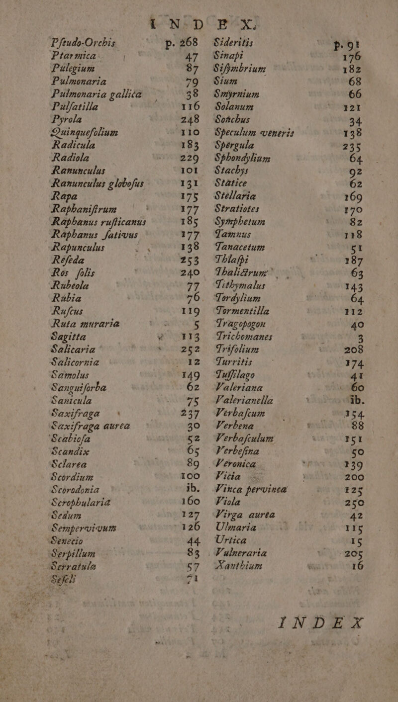 Pfeudo-Orcbis Ptarmica: Pulegium Pulmonaria Pulfatilla Pyrola Quingucfolium Radicula Radiola Ranunculus Rapa Raphanifirum Rapunculus Refeda Ros falis Rubeola Ribia Ru/feus Ruta muraria Sagitta Salicaria Salicornia Samolus Sanguiforba Sanicula Saxifraga Saxifraga aurea Scabiofa Scandix Sclarea Scordium Scorodonia Scrophularia Sedum Sempervivum Senecio Serpillum Serratula p. 268 47 87 79 38 116 248 110 Sideritis Sinapi Sifmbrium Sium ; Smyrnium Solanum Soachus Speculum veneris Spéergula Sphondyliam Stachys Statice Stellaria Stratiotes Symphetum Jamnus Tanacetum Thlafpi ThaliGrum &gt;. Tithymalus Lordylium Tor mentilla Tragopogon Trichomanes Trifolium Turritis Tuffilago Valeriana Valerianella Verbafcum Verbena Verbafculum Verbefina Vitia = Vinca pervinsa Viola Virga aurea Ulmaria q Uritica Aanthium