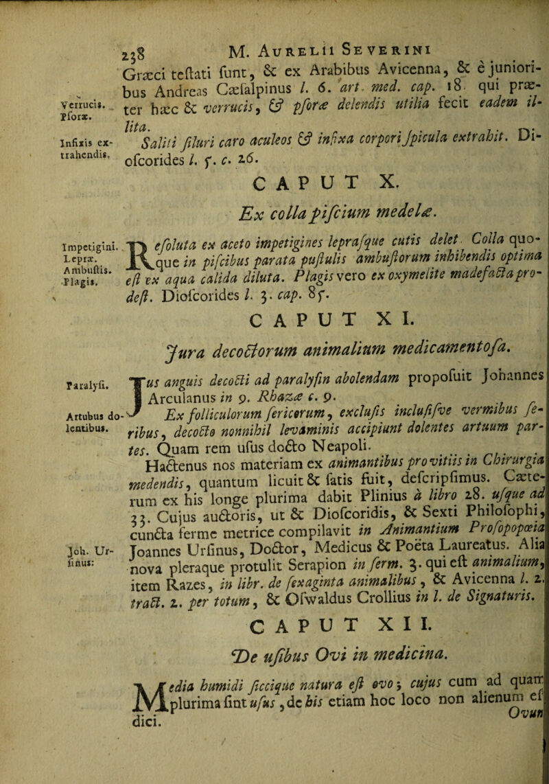 Verrucis. Pforae. Infixis ex¬ trahendis. Impetigini. Lepra'. Ambuftis. Plagis. Paralyfi. Artubus do lentibus. Joh. Ur¬ imus: 2;§ M. AuRELU SEVERINI Graeci tcflati funt, 6c ex Arabibus Avicenna, & e juniori¬ bus Andreas Caeialpinus /. 6. urt rued. ccip. io- qui p.ae- ter hxx & -verrucis, & pfora delendis utilia fecit eadem il- '^Saliti filuri caro aculeos & infixa corporiJpicula extrahit. Di- ofeorides /. f. c. 2.6. CAPUT X. Ex colla pfclum medela. Refoluta ex aceto impetigines leprafque cutis delet Colla quo» que in pi[cibus parata puftulis ambufiorum inhibendis optima e(l ex aqua calida diluta. Plagis wcro ex oxymelite madefafta pro¬ de ft. Diofcorides L 3. cap. 8f. CAPUT XI. Jura decodtorum animalium medicamentofa. us anguis dscobli ad paralyfm abolendam piopofuit Johannes Arculanus in 9. Rhaztf c. 9. Ex folliculorum fer icor um, exclufis inclufifve vermibus Je- ribus, decotto nonnihil levaminis accipiunt dolentes artuum par- tes. Quam rem ufus dodo Neapoli. . .. Hadenus nos materiam ex animantibus pro vitiis m Chirurgia medendis, quantum licuit6c Tatis fuit, defcripfimus. Cazte- rum ex his longe plurima dabit Plinius d libro 2$. ujque ad 22. Cuius audoris, ut & Diofcoridis, & Sexti Philofophi, eunda ferme metrice compilavit in Animantium Profopopceia Toannes Urimus, Dodor, Medicus & Poeta Laureatus. Alia nova pleraque protulit Serapion in fer m. 3.quieft animalium, item Razes, in libr. de [exaginta animalibus ? & Avicenna L z, traft. z. per totum, 8c Oiwaldus Crollius in L de Signaturis. CAPUT XII. De ufibus Ovi in medicina. Media humidi ficcique natura eft ovo-, cujus cum ad quatr plurima Hat ufus 5dc his etiam hoc loco non alienum e dici. Uvun
