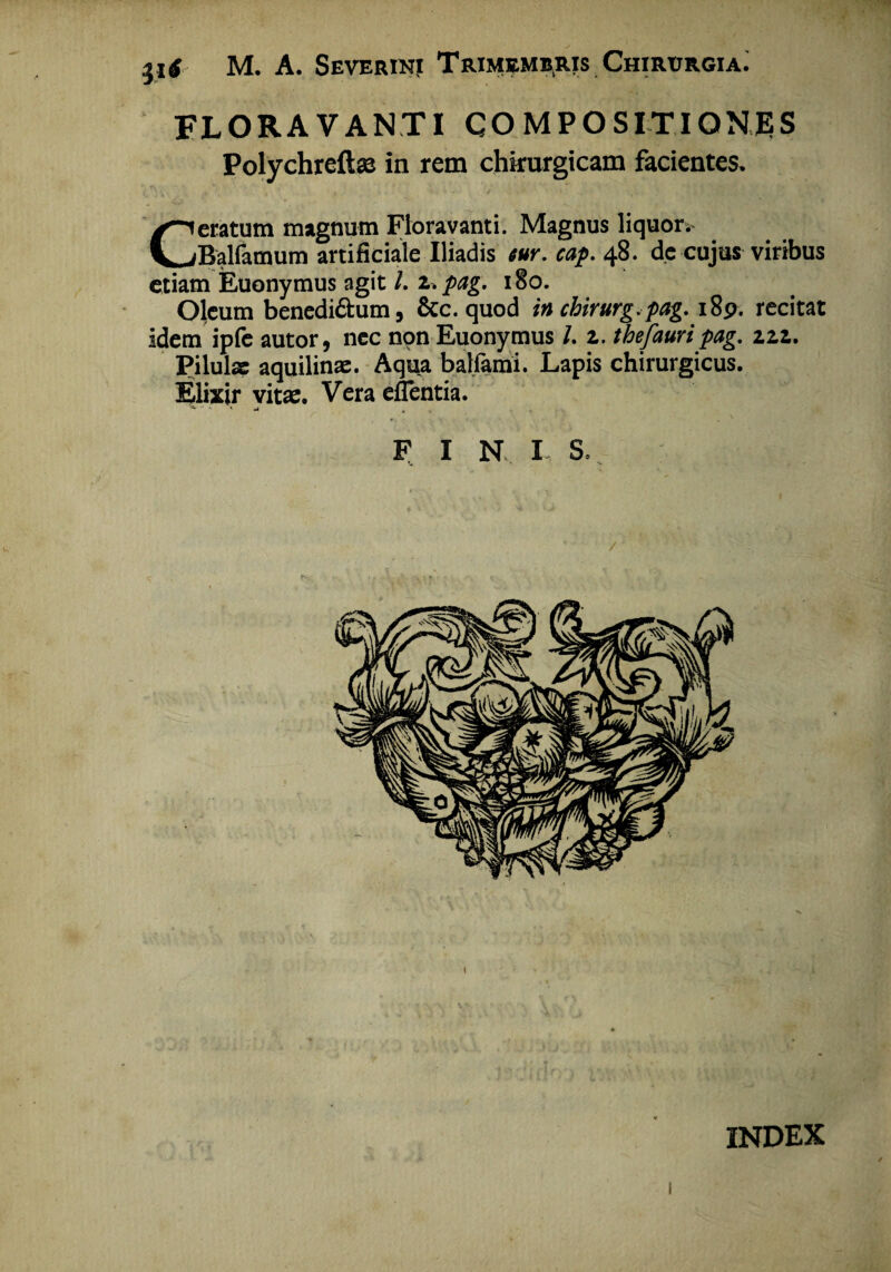 FLORAVANTI COMPOSITIQNJES Polychreftae in rem chirurgicam facientes, Ceratum magnum Floravanti. Magnus liquor; Balfamum artificiale Iliadis eur. cap. 48. de cujus viribus etiam Euonymus agit /. pag. 180. Oleum benedi&um, &c. quod in chirurg.pag. i8p. recitat idem ipfe autor, ncc non Euonymus l. z. thefauri pag. zzz. Pilulae aquilinae. Aqua baljami. Lapis chirurgicus. Elixir vitae. Vera effentia. ^ ** * «1 , F I N I S, INDEX