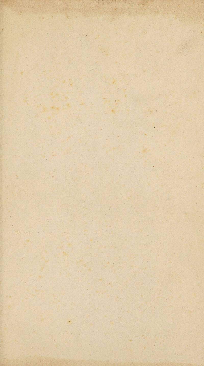 ■ t ■ f I ( \ / » - -r V . T