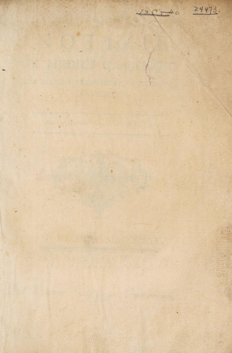 •'0.',;' ' .  ■  . ./■ • > ,v •••.•' -V ìY-'tU ■' »v •'■ yi, ■ ■ Ji V-V*. v >'■' .:f,. 4 •• \