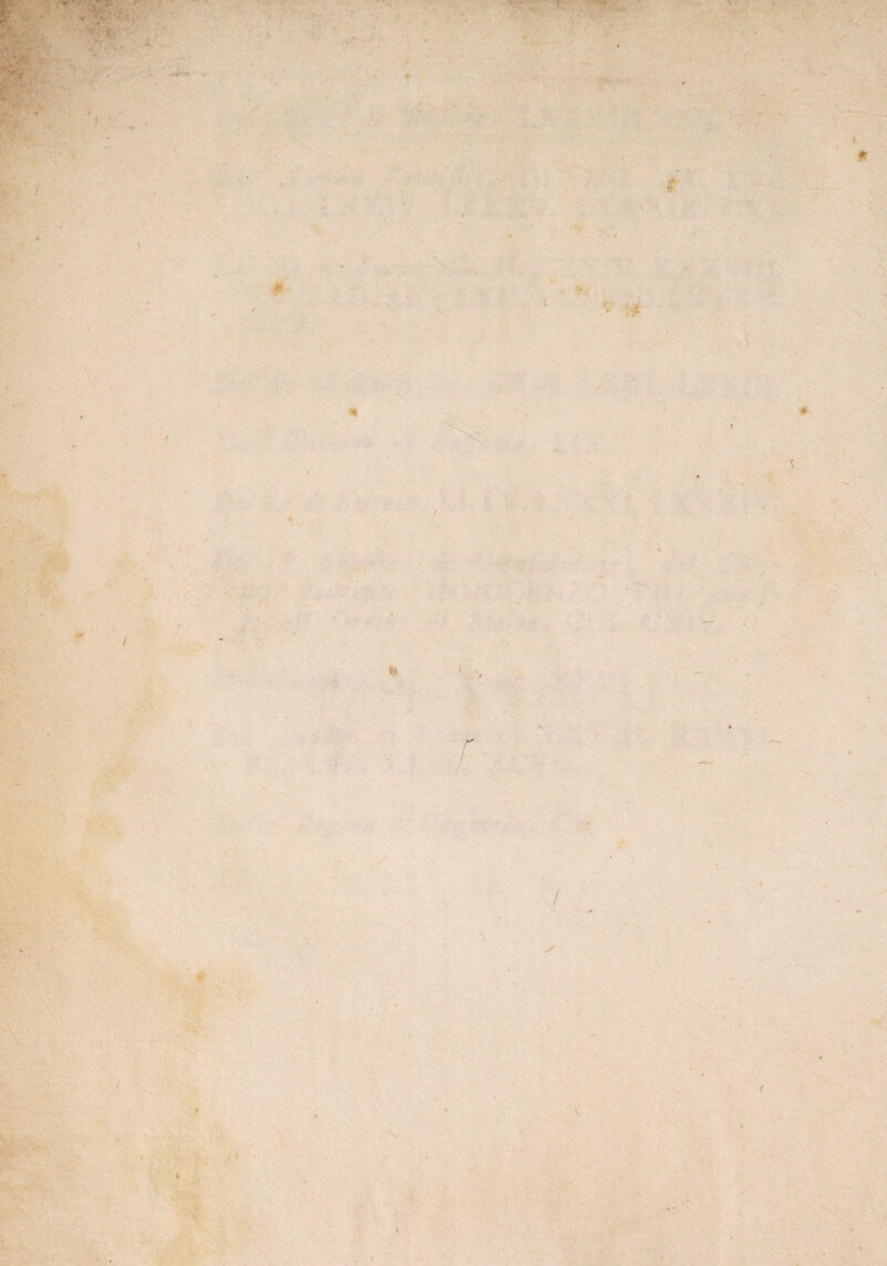 ' . • ' T- ^ i \ r / / * N