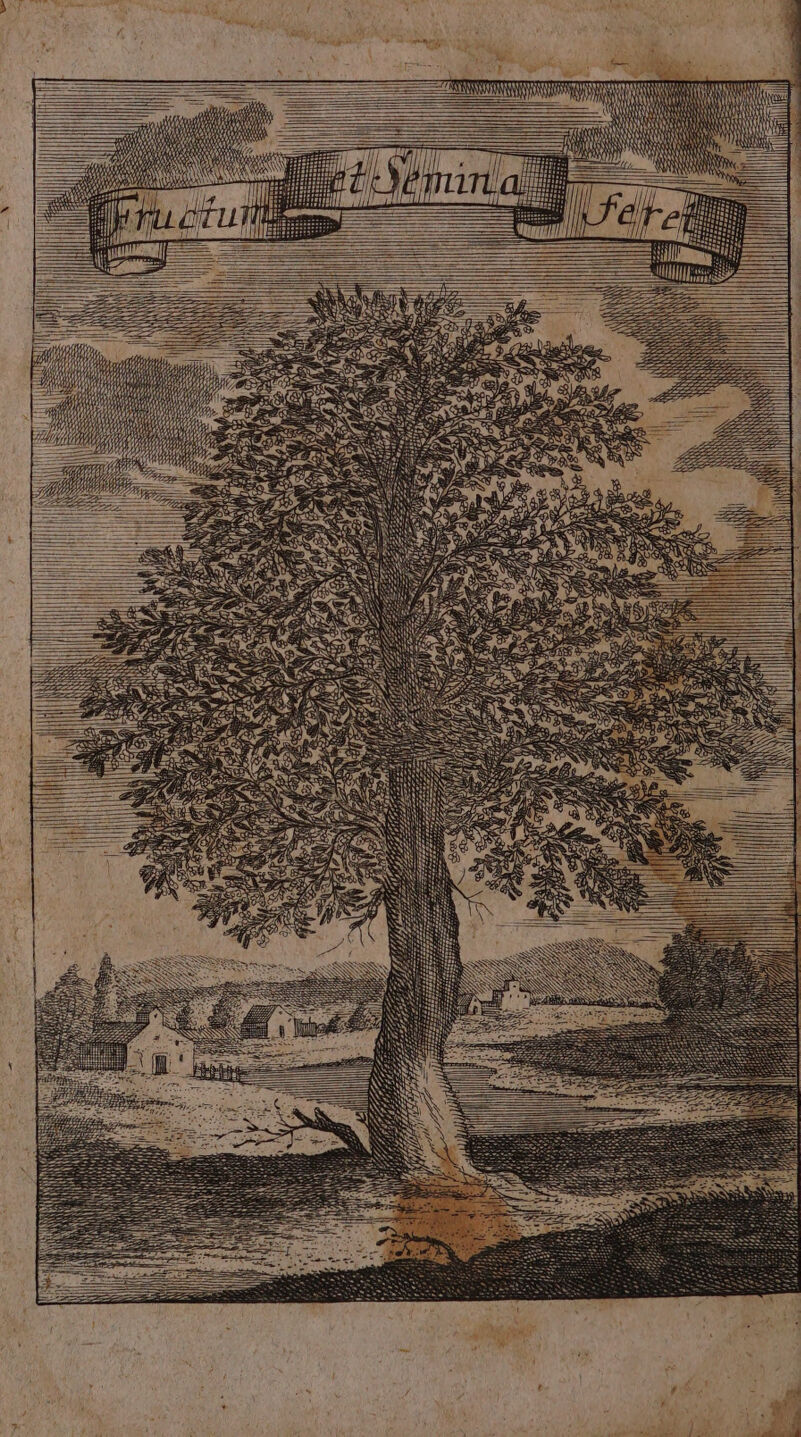 ffn mme eee egg e n r 7 77770 ieee a 5 \ N ! ac ; N | 5 2 j 2 < 1 f 5 * 8 5 7 f 8 * a 8 = | 2 8 ? a > — 1 ER x 5 8 x 2 — 2% 8 — =