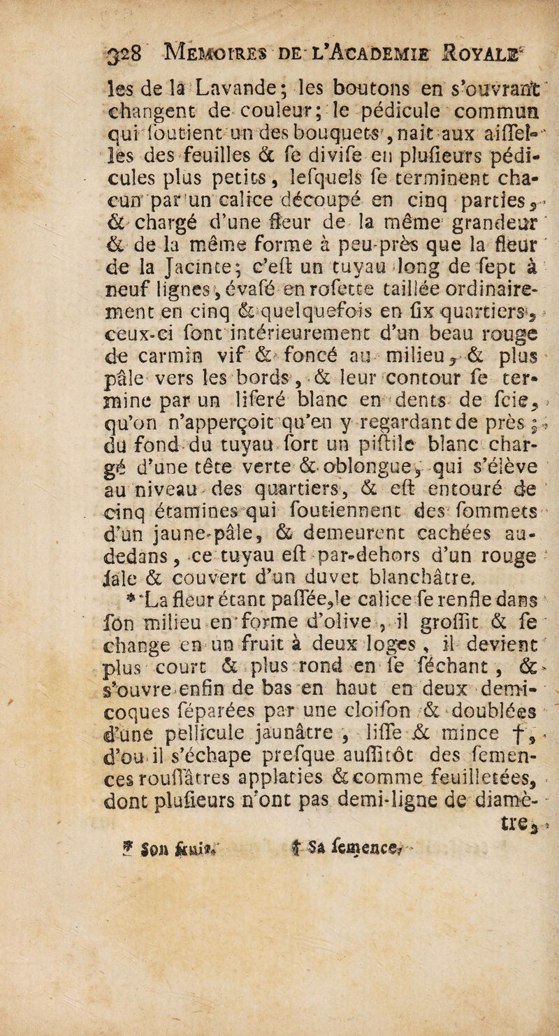les de la Lavande; les boutons en s’ouvrant changent de couleur; le pédicule commun qui foutient un des bouquets', naît aux aifteL ' les des feuilles & fe divife en plufieurs pédi¬ cules plus petits, lefquels fe terminent cha¬ cun par un calice découpé en cinq parties 5- & chargé d’une fleur de la même grandeur & de la même forme à peu-près que la fleur de la Jacinte; c’eft un tuyau long de fepc à neuf lignes, évafé en rofette taillée ordinaire¬ ment en cinq & quelquefois en fix quartiers^ ceux-ci font intérieurement d’un beau rouge de carmin vif & foncé au milieu 5 & plus pâle vers les bords, & leur contour fe ter¬ mine par un liferé blanc en dents de fcie,> qu’on n’apperçoit qu’en y regardant de près du fond du tuyau fort un piftile blanc char¬ gé d’une tête verte &■ obîongue, qui s’élève au niveau des quartiers, & eft entouré de cinq étamines qui fou tiennent des fommets d’un jaune-pâle, & demeurent cachées au- dedans, ce tuyau eft par-dehors d’un rouge iale & couvert d’on duvet blanchâtre. *‘La fleur étant pafTée,!e calice fe renfle dans fôn milieu en'forme d’olive , il groflit & fe change en un fruit à deux loges, il devient plus court & plus rond en fe féchant , s’ouvre enfin de bas en haut en deux demi- coques féparées par une cloifon & doublées d’une pellicule jaunâtre , lifte & mince f9* d’ou il s’échape prefque auffitôt des femen- cesrouilâtres applaties & comme feuilletées, dont plufieurs mont pas demi-ligne de diamè¬ tre^ ? Son fjp&tf î Sa femextce*