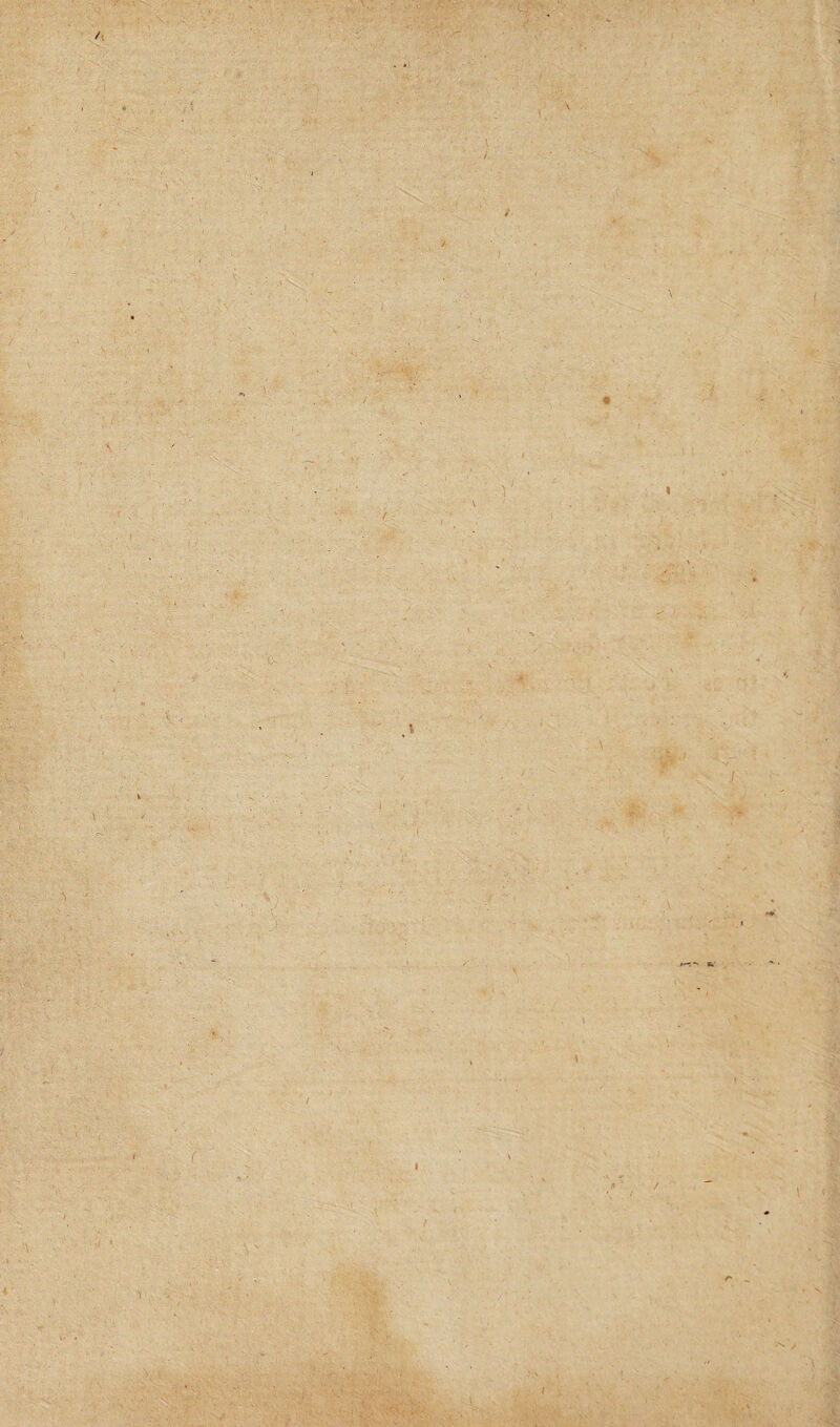 / « \ / / ; \ * V- . /