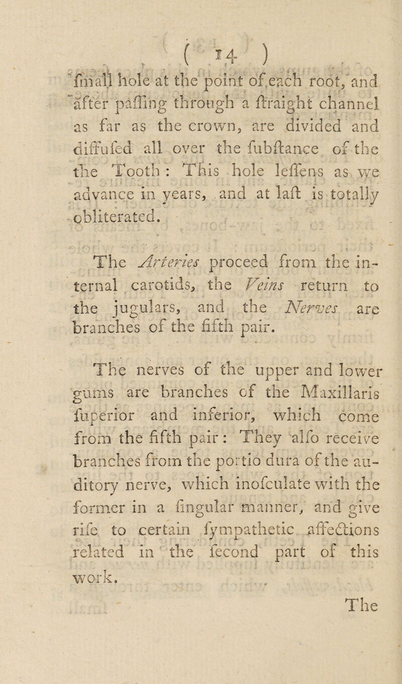 ( 4 ) Tmall hole at the'point of.each root/and after piffling through a ftraight channel as far as the crown, are divided and diffuFed all over the fubfiance of the the Tooth : This hole leffens as we advance in years, and at laft is totally obliterated. The Arteries proceed from the in¬ ternal carotids, the Veins return to the jugulars, and the Nerves are branches of the fifth pair. The nerves of the upper and lower gums, are branches of the Maxillaris fuperior and inferior, which come from the fifth pair: They alfo receive branches from the portio dura of the au¬ ditory nerve, which inofculate with the former in a lingular manner, and give rife to certain fympathetic affections related in the fecond part of this work. The