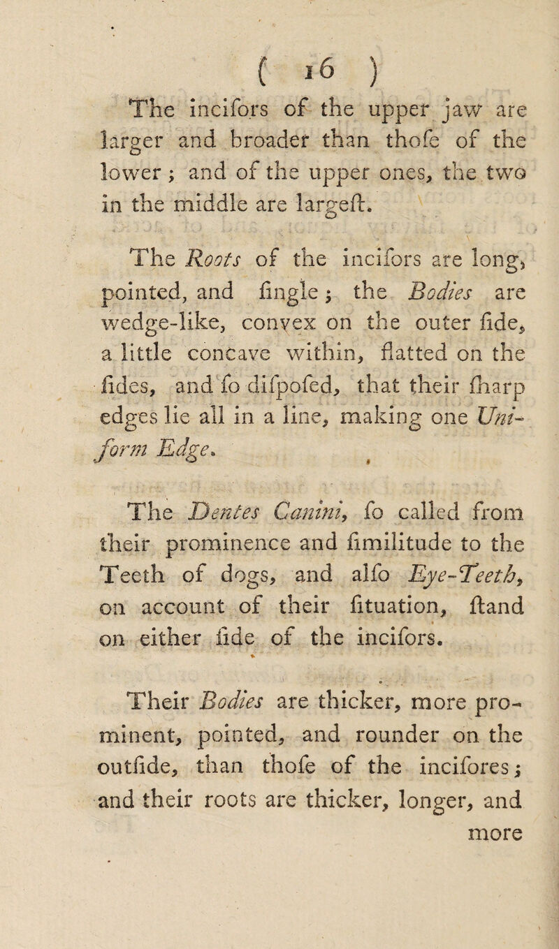 The incifors of the upper jaw are larger and broader than thole of the lower; and of the upper ones, the two in the middle are largeft. The Roots of the incifors are long* pointed, and fugle $ the Bodies are wedge-like, convex on the outer fide, a little concave within, flatted on the hides, and fb difpofed, that their fharp edges lie all in a line, making one Uni¬ form Edge. The Dentes Canini, fo called from their prominence and flmilitude to the Teeth of dogs, and alfo Eye~Teetb9 on account of their fituation, ftand on either fide of the incifors. v * Their Bodies are thicker, more pro¬ minent, pointed, and rounder on the outilde, than thofe of the incifores; and their roots are thicker, longer, and more