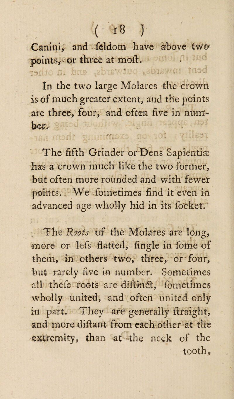 (■•■'« i Canini, and feldom have above tww points, or three at mod:. In the two large Molares the crown is of much greater extent, and the points are three, four, and often five in num¬ ber* . Li tt ^ t | . '■ : - - : ' The fifth Grinder or Dens Sapientias has a crown much like the two former, but often more rounded and with fewer points. We .fometimes find it even in advanced age wholly hid in its fo'cket. , » ■ r .J * The Roots of the Molares are long, more or lefs flatted, Angle in fome of them, in others two, three, or four, but rarely five in number. Sometimes all thefe roots are diftindt:, fometimes wholly united, and often united only in part. They are generally ftraight, and more diftant from each other at the extremity, than at the neck of the tooth*