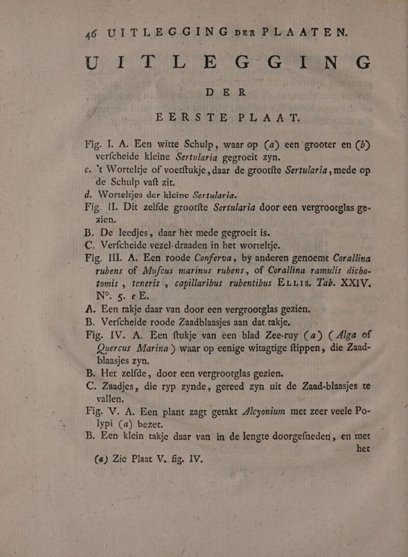 BEE EN Wets boppe ond Eke he IT N G DER 7 EERSTE PLAAT. Fig. L A. Een witte Schulp, waar op (a) een ‘grooter en (5) verfcheide kleine Sertularia gegroeit zyn. c. 't Wortreltje of voerftukje „daar de grootfte Sertularia ‚mede op de Schulp vaft zit. d. Worteltjes der kleine Sertularia. Fig. IL Dit zelfde groorfte Sersularia door een vergrootglas ge- zien. B. De leedjes, daar het mede gegroeit is. C. Verfcheide vezel-draaden in het worrteltje. Fig. IL A. Een roode Conferva, by anderen genoemt Corallina rubens of Mufcus marinus rubens, of Corallina ramulis dicho- tomis „ teneris ‚ capillaribus rubentibus ErLis. Tab. XXIV, N°. 5. e E. A. Een takje daar van door een vergrootglas gezien. B. Verfcheide roode Zaadblaasjes aan dat takje, Fig. IV. A. Een ftukje van een blad Zee-ruy (a) ( Alga of Quercus Marina) waar op eenige witagtige tippen, die Zaad- blaasjes zyn. B. Het zelfde, door een vergrootglas gezien. C. Zaadjes, die ryp zynde, gereed zyn uit de Zie bien te vallen. Fig. V. A. Een plant zagt getakt Alcyonium met zeer veele Po- lypi (a) bezet. B. Een klein takje daar van in de lengte doorgefneden , en met het (a) Zie Plaat V, fig. IV.