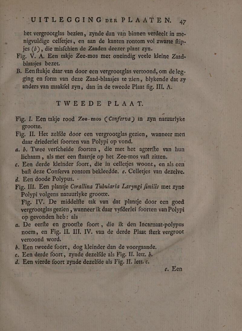 het vergrootglas bezien, zynde dan van binnen verdeelt in me- nigvuldige celletjes, en aan de kanten rontom vol zwarte flip. jes () , die misfchien de Zaaden deezer plant zyn. Fig. V. A. Een takje Zee-mos met oneindig veele kleine Zaad- blaasjes bezet. B. Eenftukje daar van door een vergrootglas vertoond, om de leg- ging en form van deze Zaad-blaasjes te zien, blykende dat zy anders van maakfel zyn, dan in de tweede Plaat fig, TIL, A. TWEEDE PLAAT. Fig. 1. Een takje rood Zee-mos (Conferva) in zyn natuurlyke grootte, Fig. II. Het zelfde door een vergrootglas gezien, wanneer mert daar driederlei foorten van Polypi op vond. a. b. Twee verfcheide foorten , die met het agterfte van hun lichaam , als met een ftaartje op het Zee-mos vaft zitten. c. Een derde kleinder foort, die in celletjes woont, en als een baft deze Conferva rontom bekleedde. e. Celletjes van dezelve. d. Een doode Polypus. - | Fig. III. Een plantje Corallina Tubularia Laryngi fimilis met zyne Polypi volgens natuurlyke grootte. Fig. IV. De middelfte tak van dat plantje door een goed vergrootglas gezien , wanneer ik daar vyfderlei foorten van Polypi op gevonden heb: als a. De eerfte en grootfte foort, die ik den Incarnaat-polypus noem, en Fig. IL III, IV. van de derde Plaat fterk veto vertoond word. b. Een tweede foort, dog kleinder dan de voorgaande. c. Een derde foort, Ante dezelfde als Fig. IL. lett. 5. d. Een vierde foort zynde dezelfde als Fig. II. lett. c. e. Een